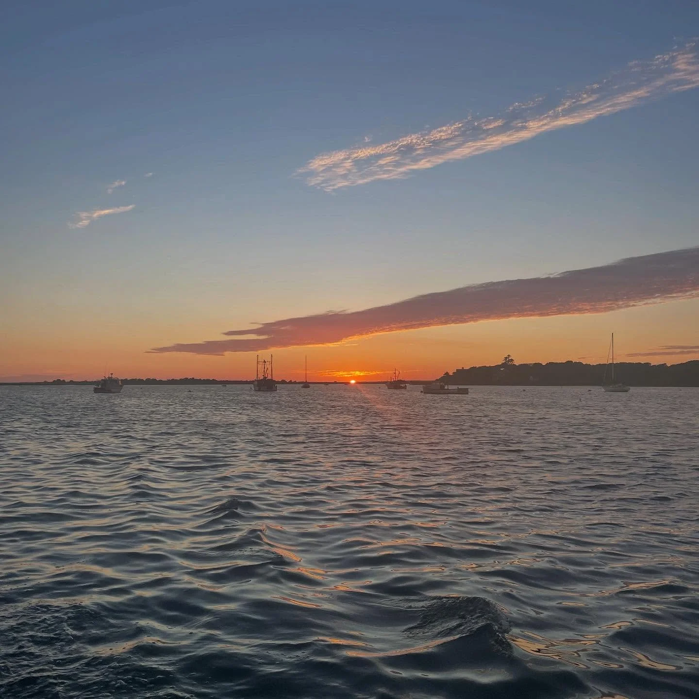 Hard to take a bad photo on evenings like this! #whywesailhere 🧡