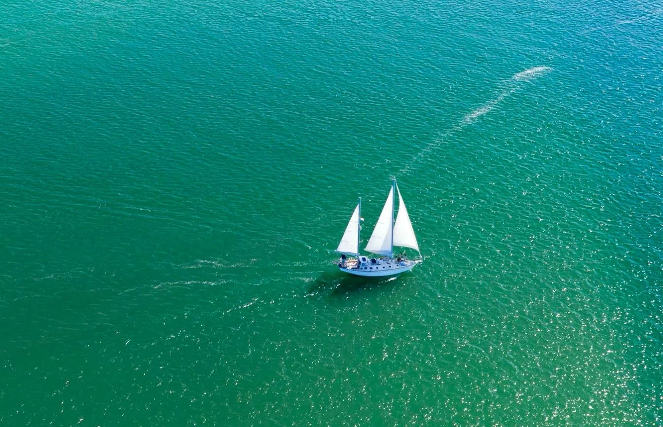 Caught in the act.
Thanks @john_dulemba_photos for this amazing pic!

@chathamcapecodma