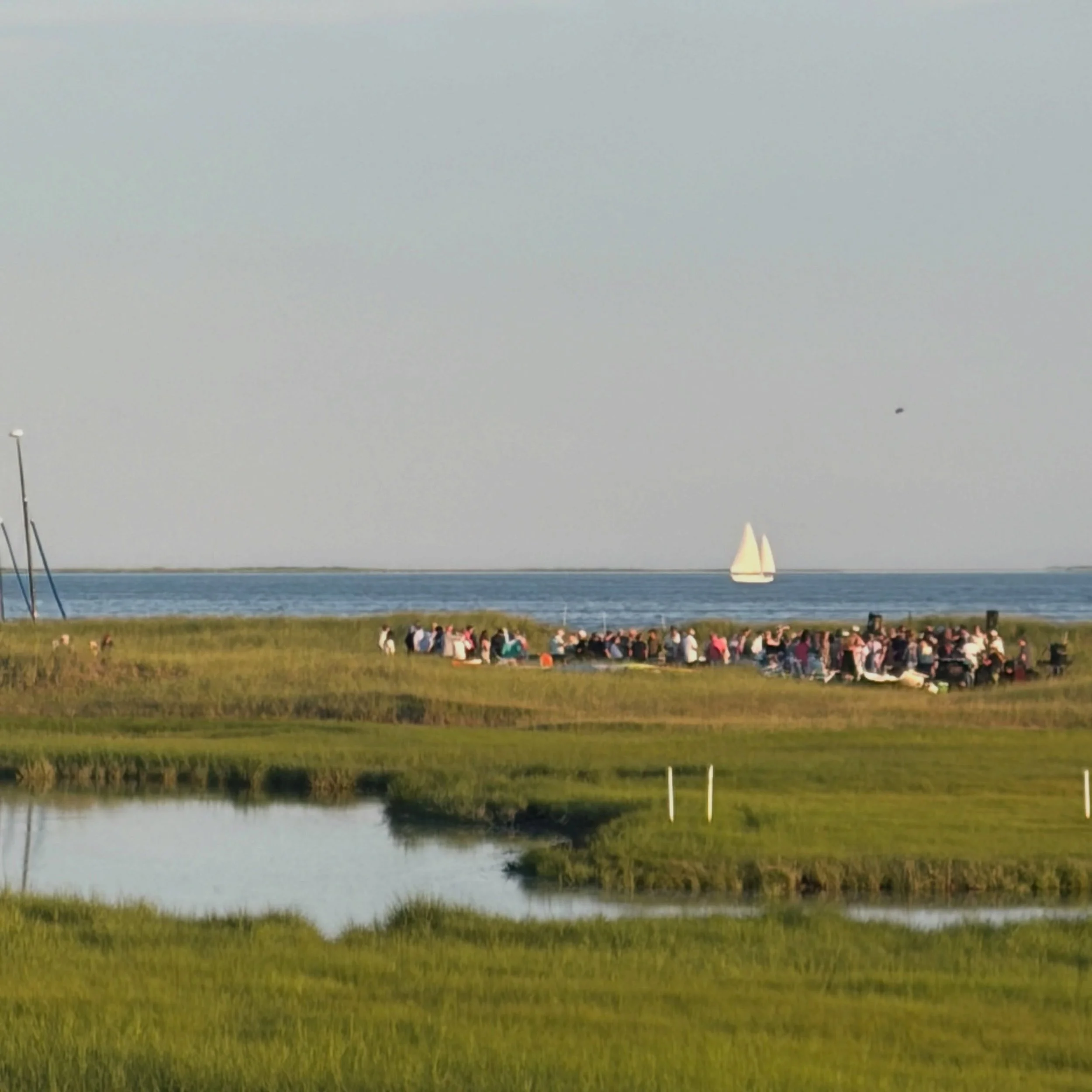 Hannah adding a little local color background to summer on the Cape 😊⛵️Thanks for sharing the pic @capnmarden !