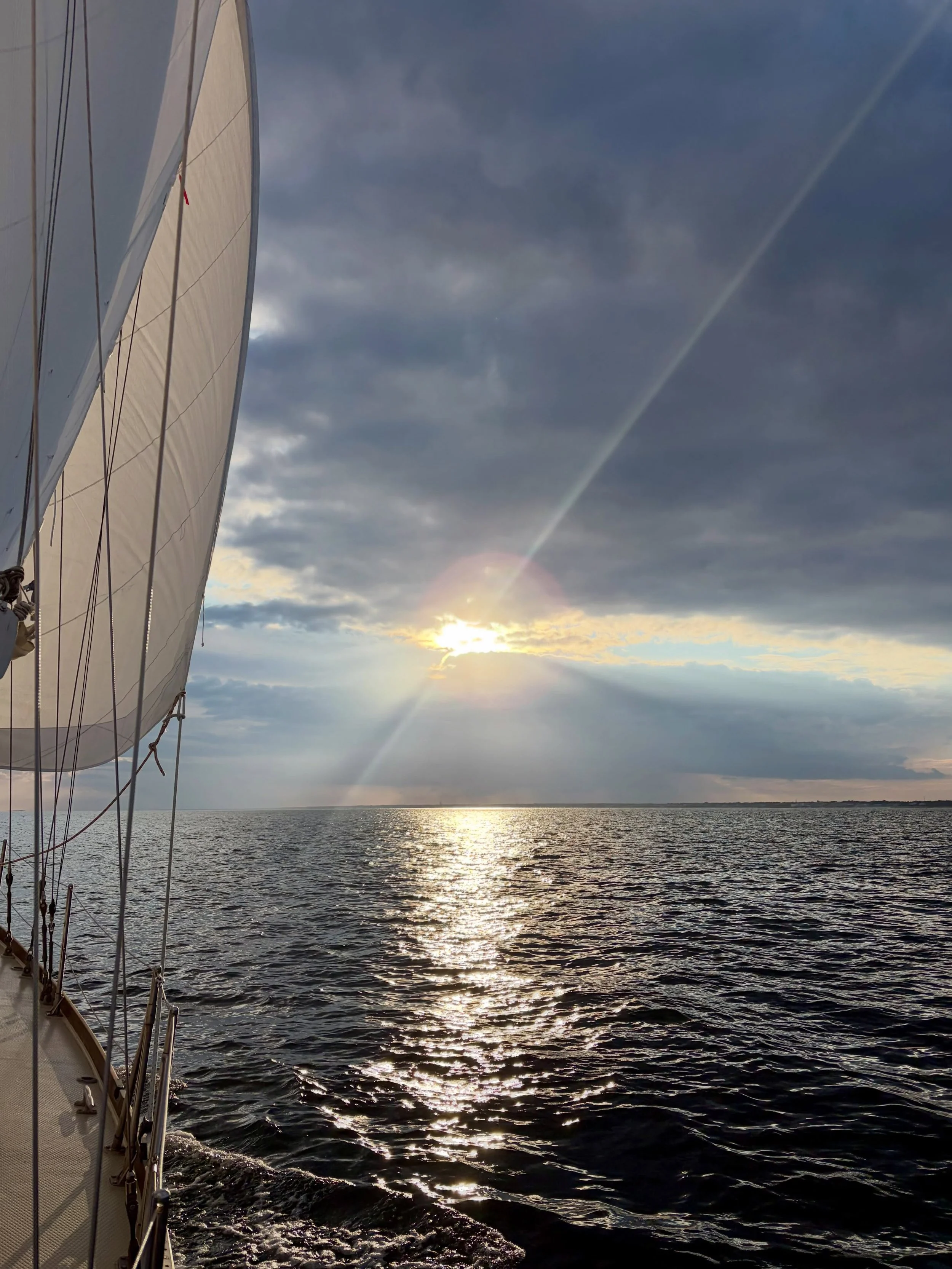 Been a stretch of grey weather&hellip;sun&rsquo;s out there somewhere!