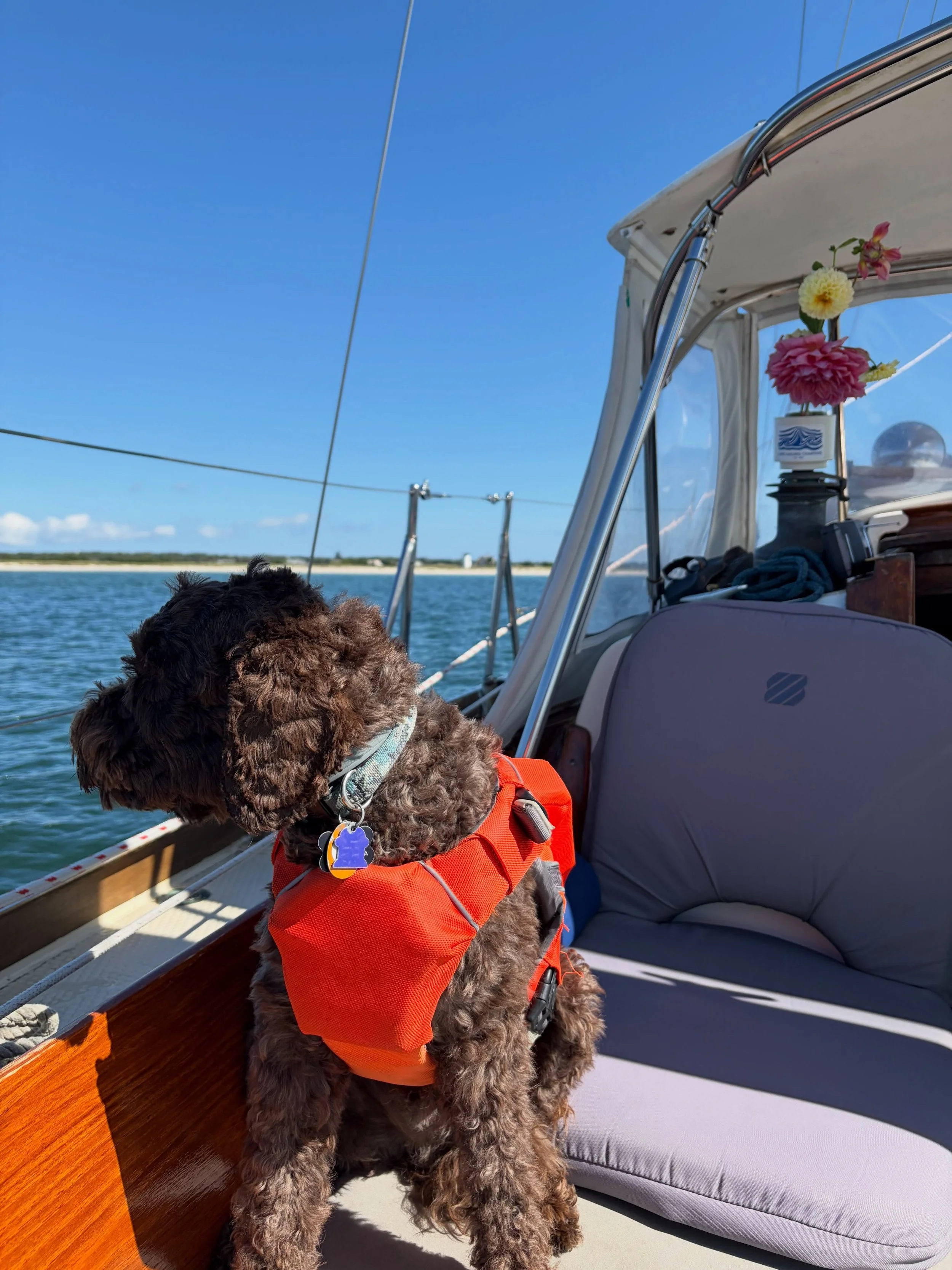 It&rsquo;s sweater weather, but the sailing&rsquo;s still sweet! Come join us for our last couple weeks on the water this season! 🧡