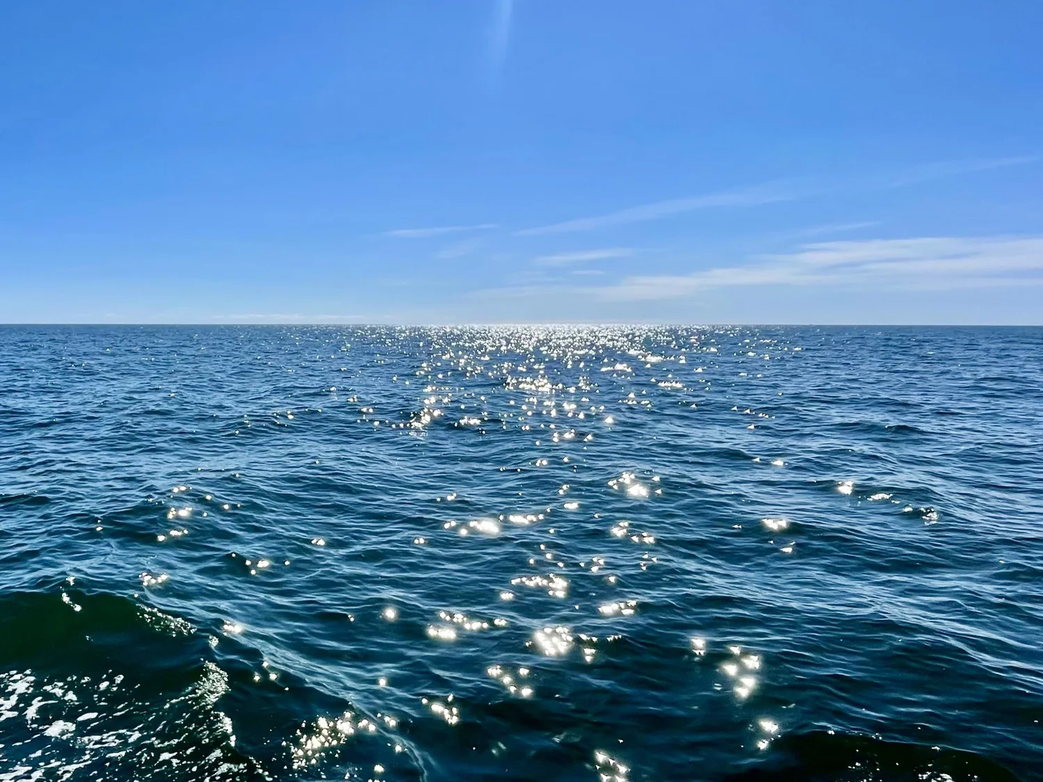 Cape Cod Sailboat Charters — CAPE SAILING CHARTERS