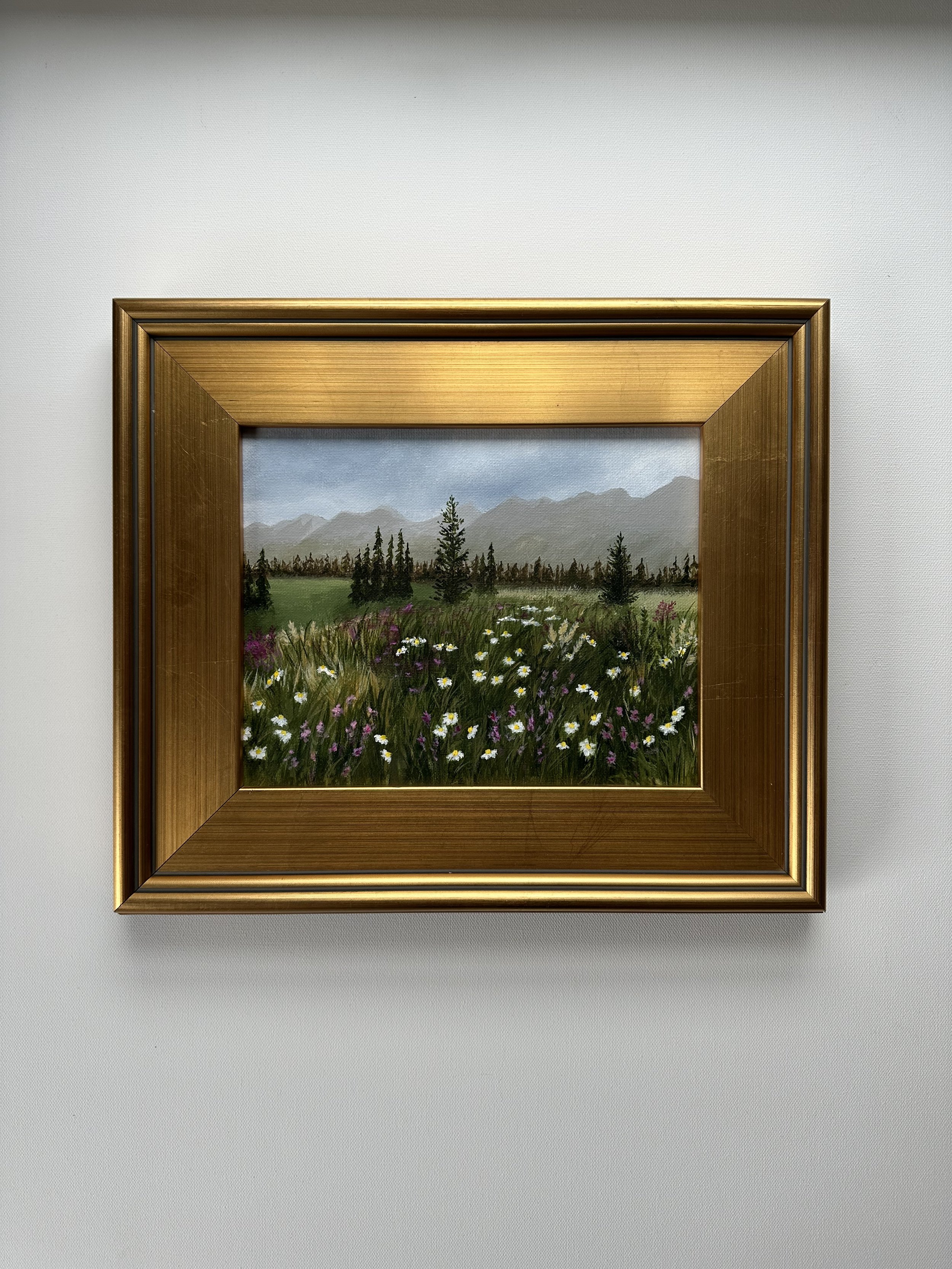 Kootenay Wildflowers