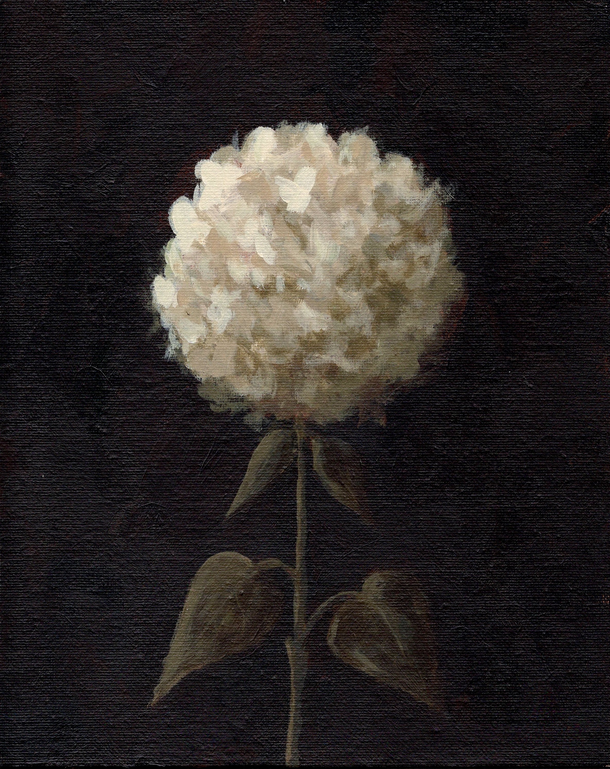 Scan 3.jpeg