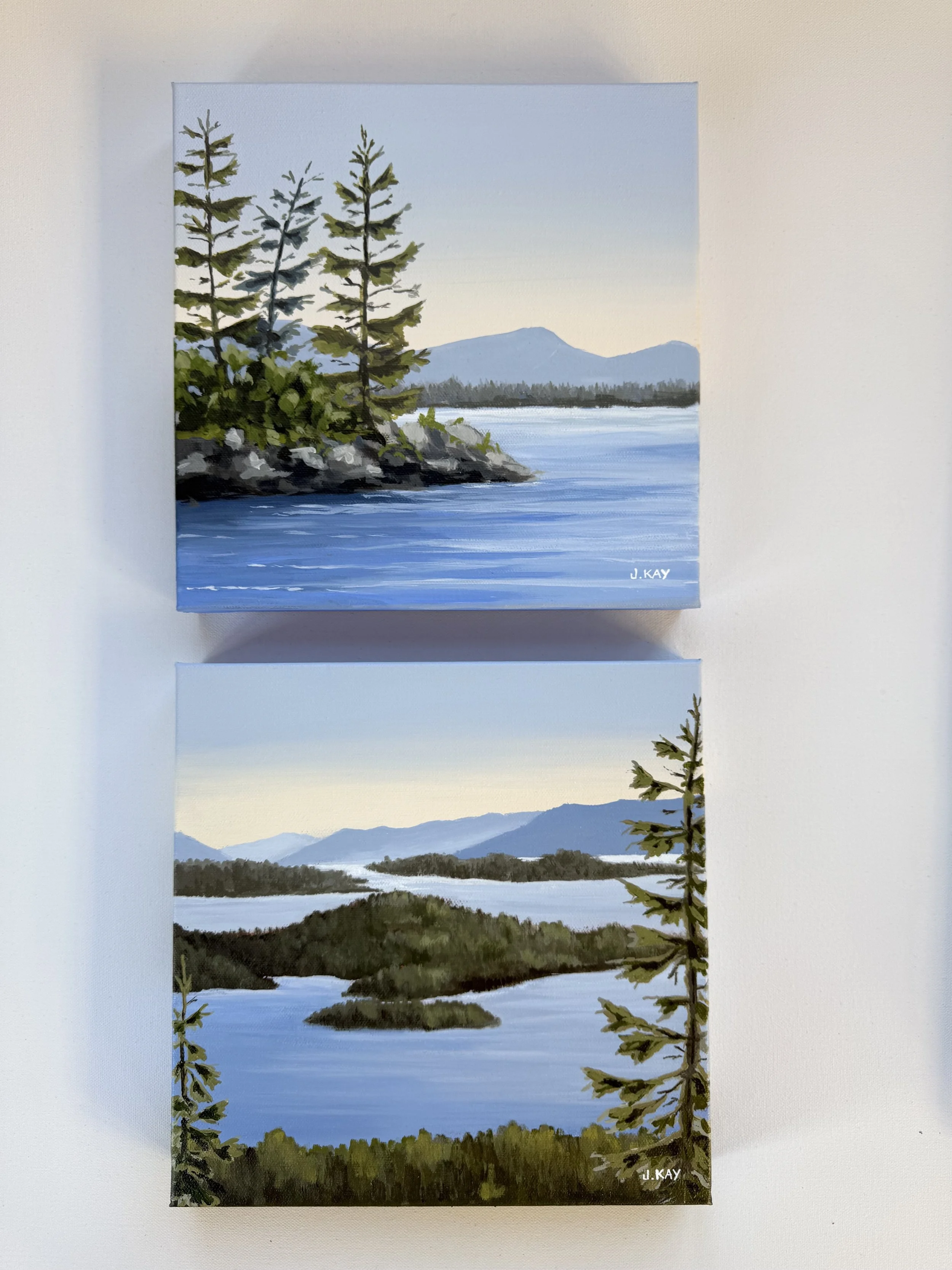 IMG_6207.jpeg (Copy)