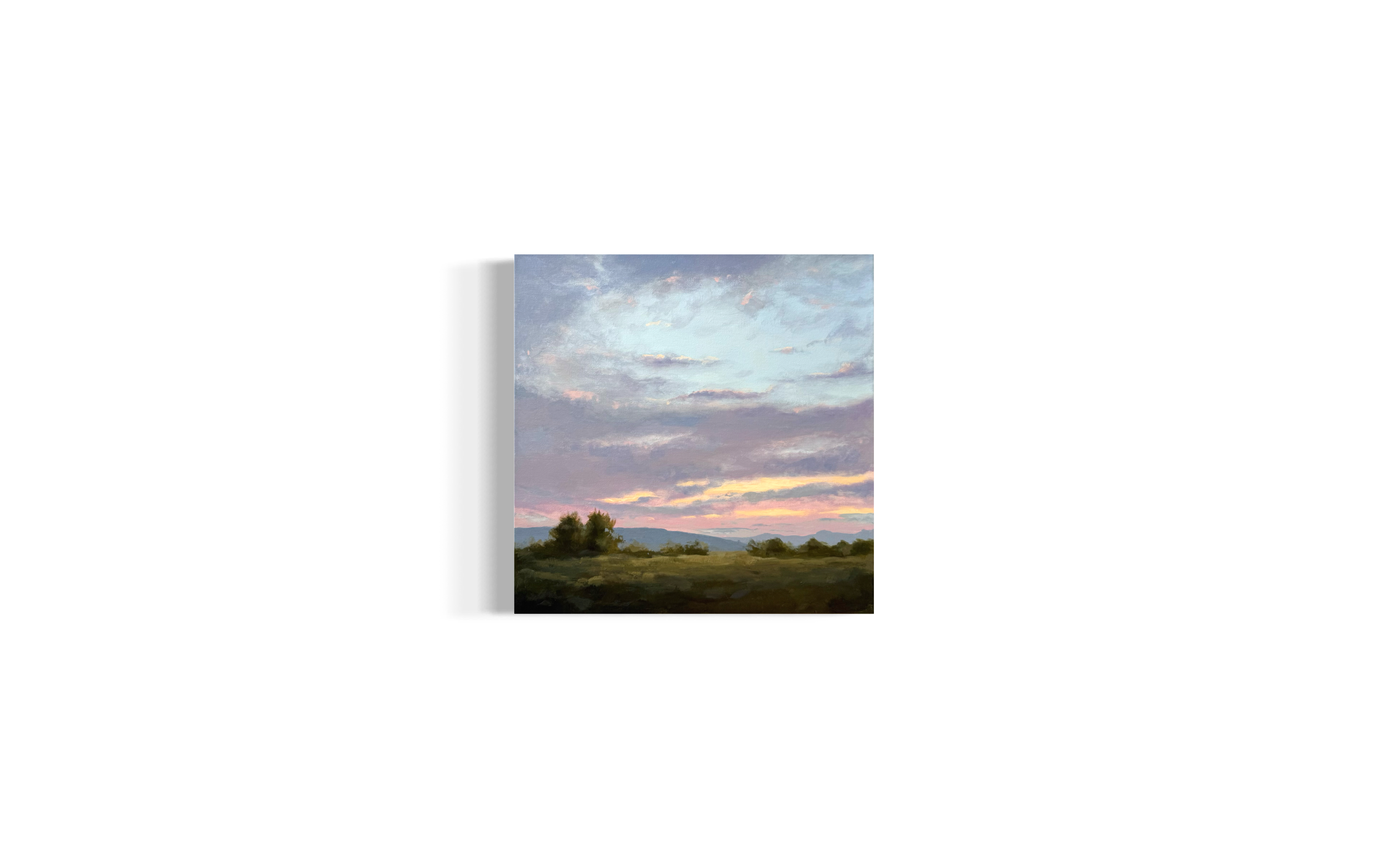 IMG_3267.png