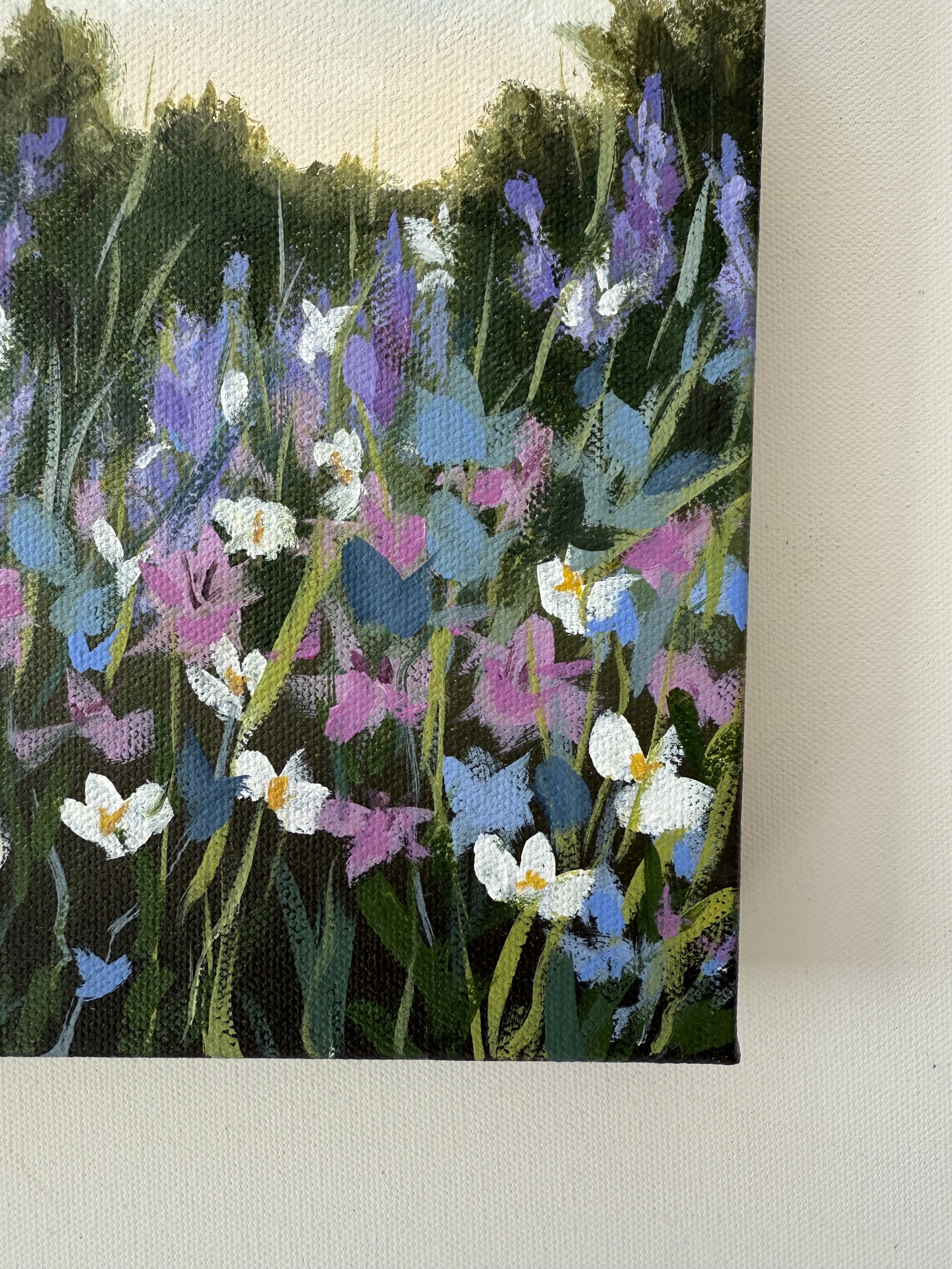 IMG_1200.jpeg