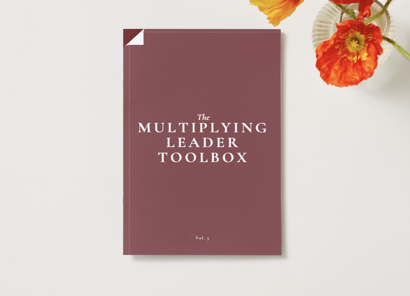 Screenshot 2026-02-20 at 10.24.17 AM.png