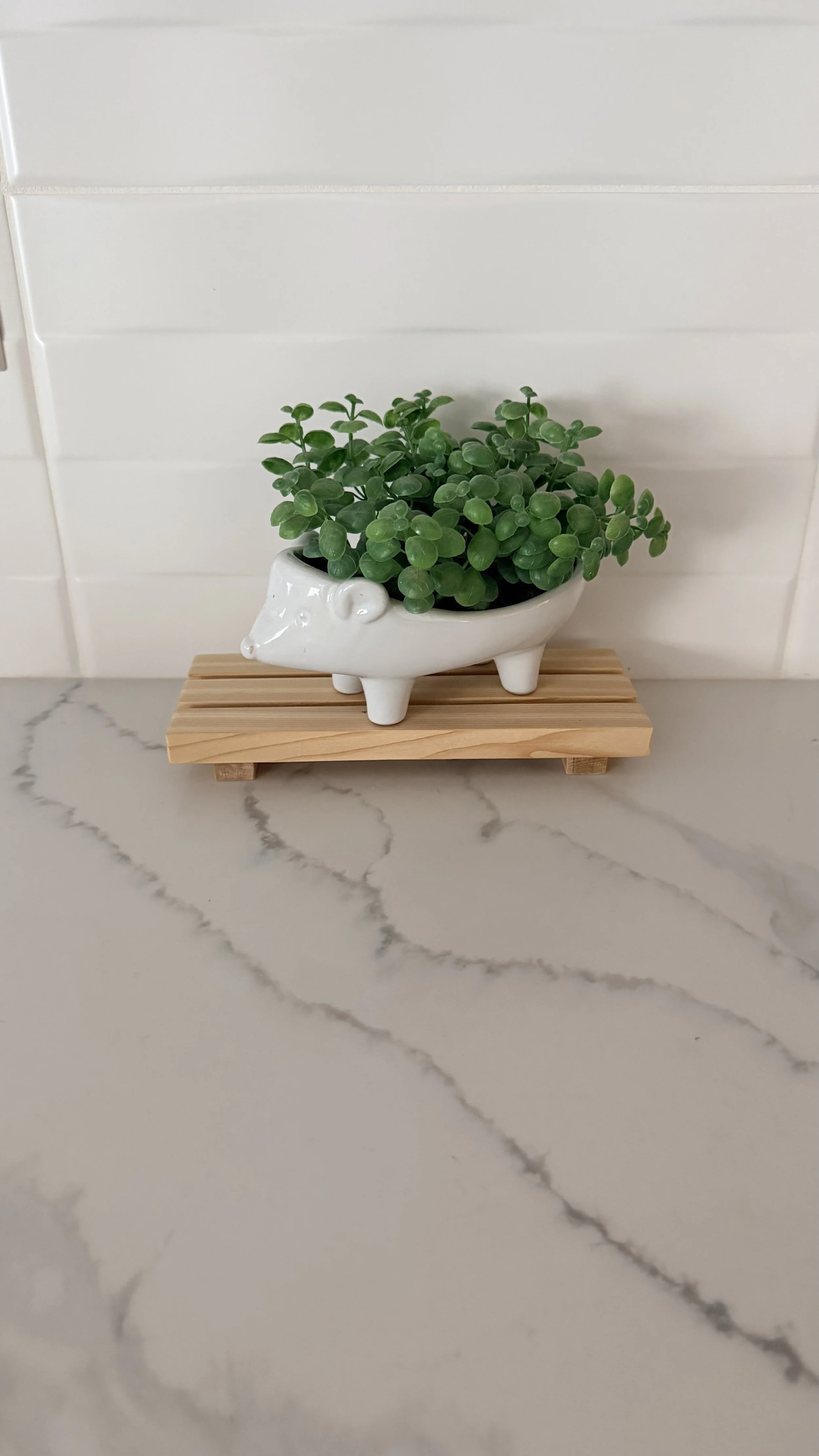 Cedar Display Riser