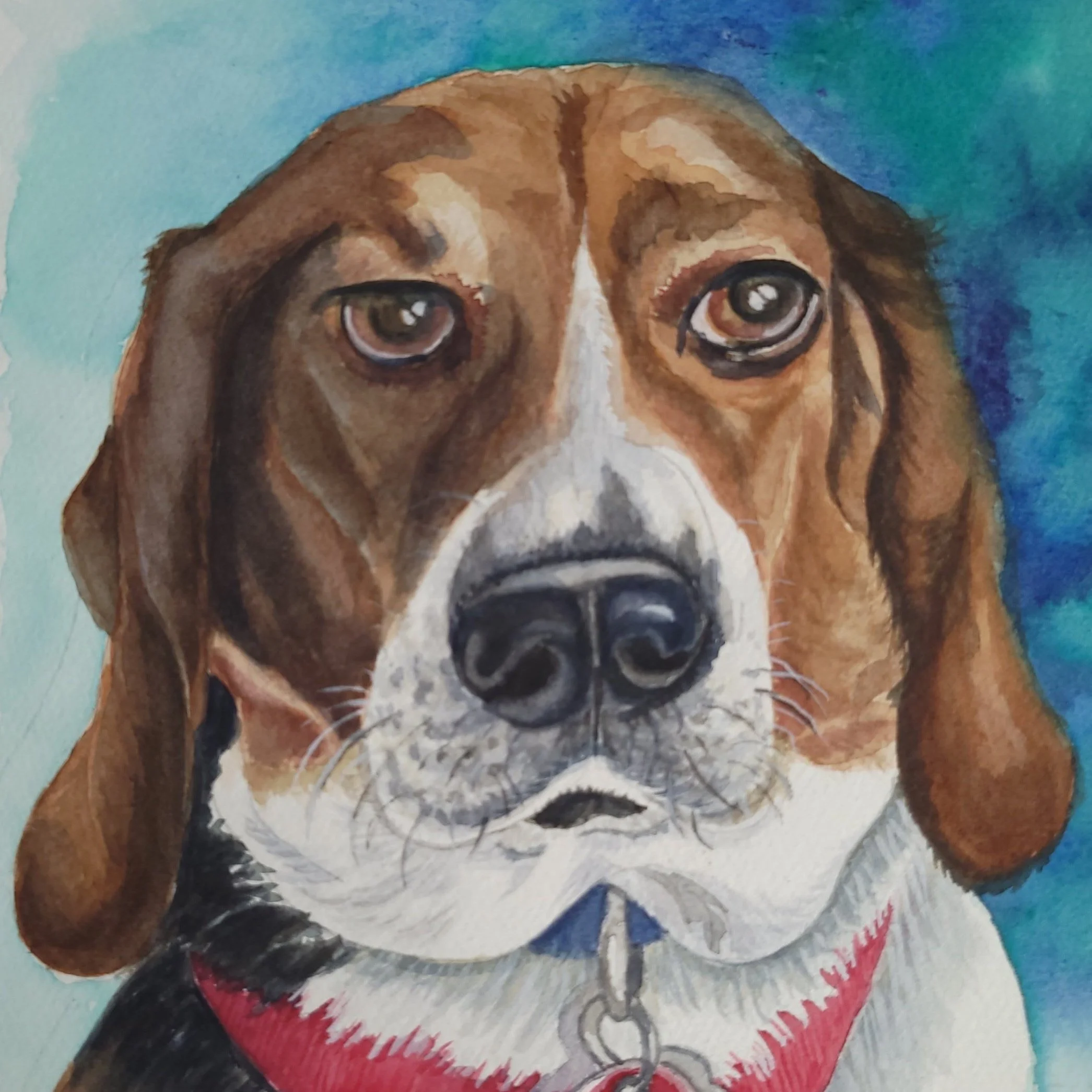 Watercolor pet portrait of Buddy, a bloodhound dog, by artist Amy Boardman, capturing his soulful eyes and distinctive droopy ears with warm, realistic tones.
