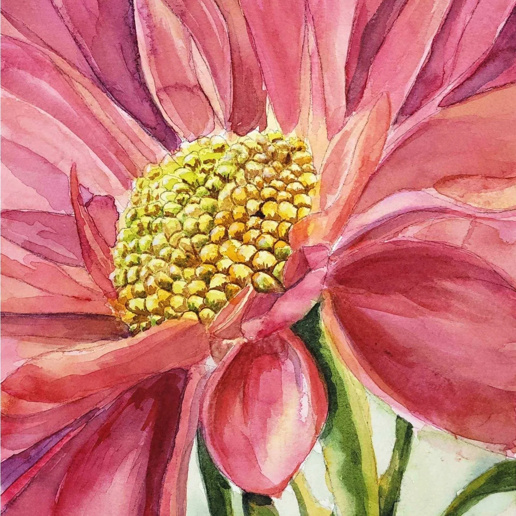 Watercolor painting Blushing Petals by Amy Boardman showing a close-up of a delicate pink flower with a yellow center and green stems, capturing soft, vibrant details.