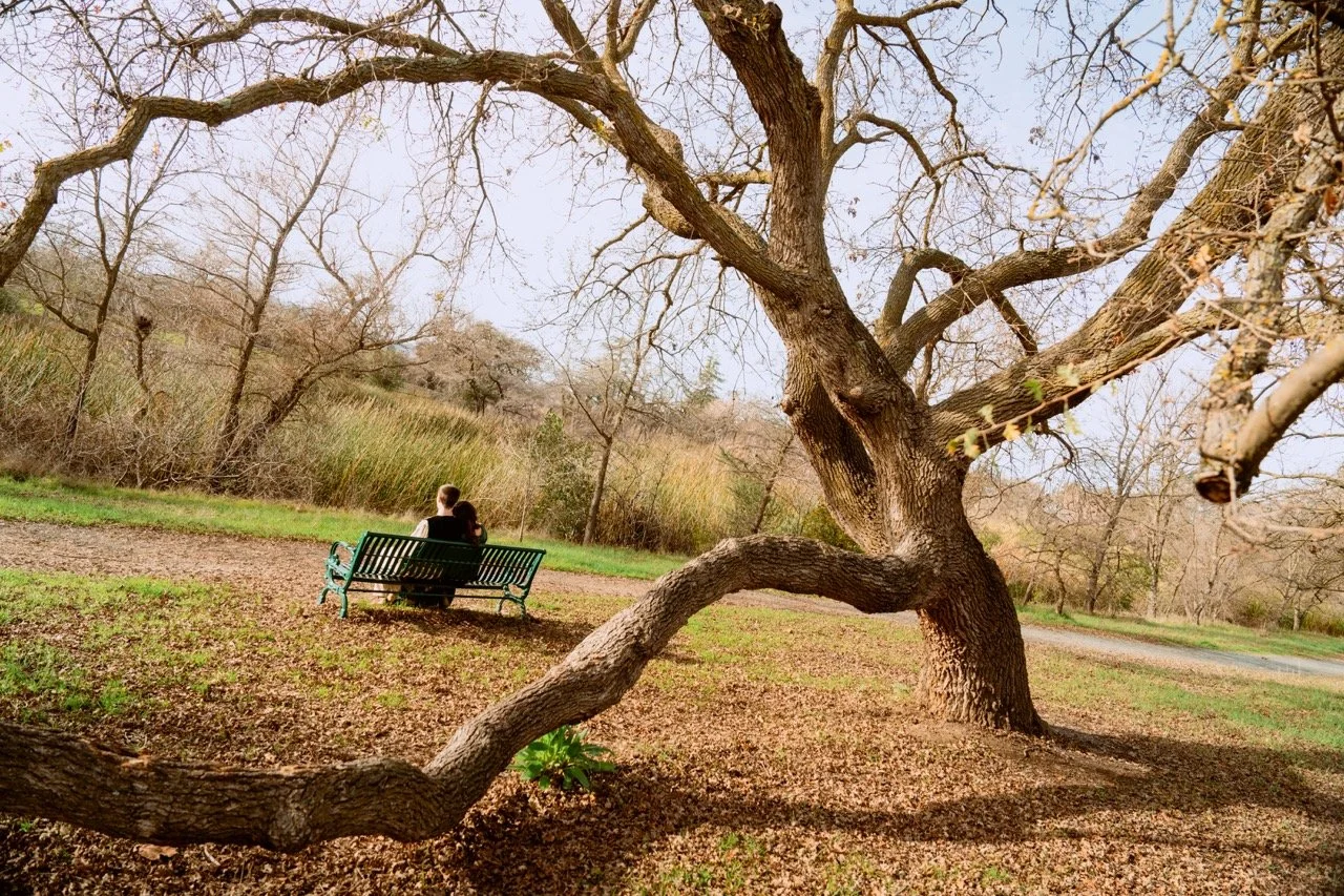 20250104_mursal_and_mathew_nikkah-085 Large.jpeg