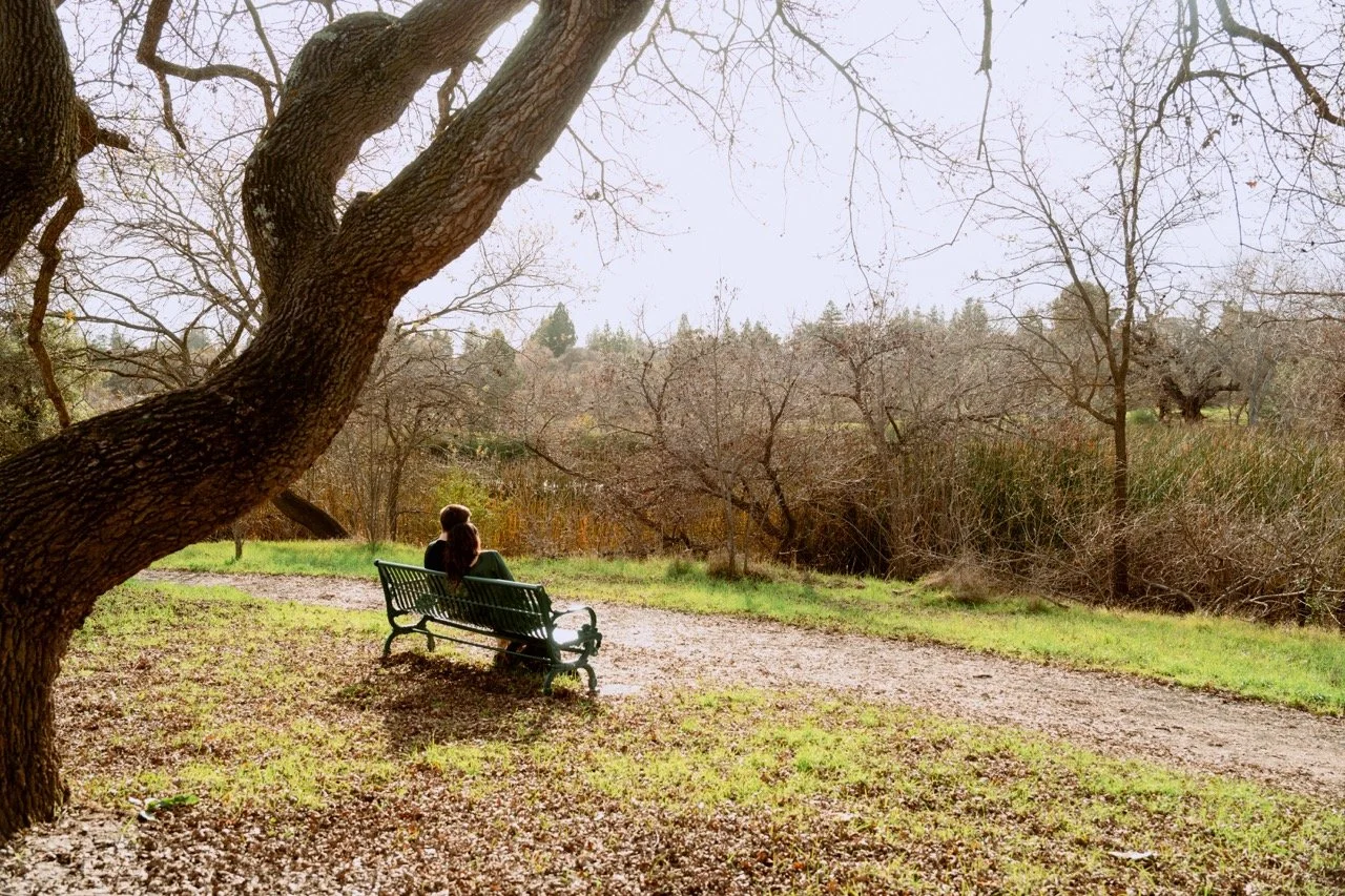 20250104_mursal_and_mathew_nikkah-089 Large.jpeg