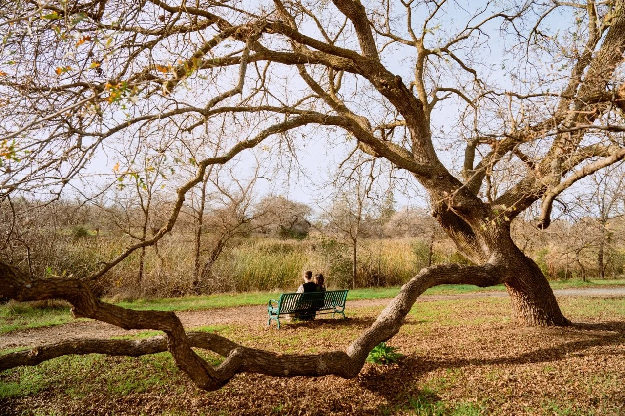 20250104_mursal_and_mathew_nikkah-083 Large.jpeg