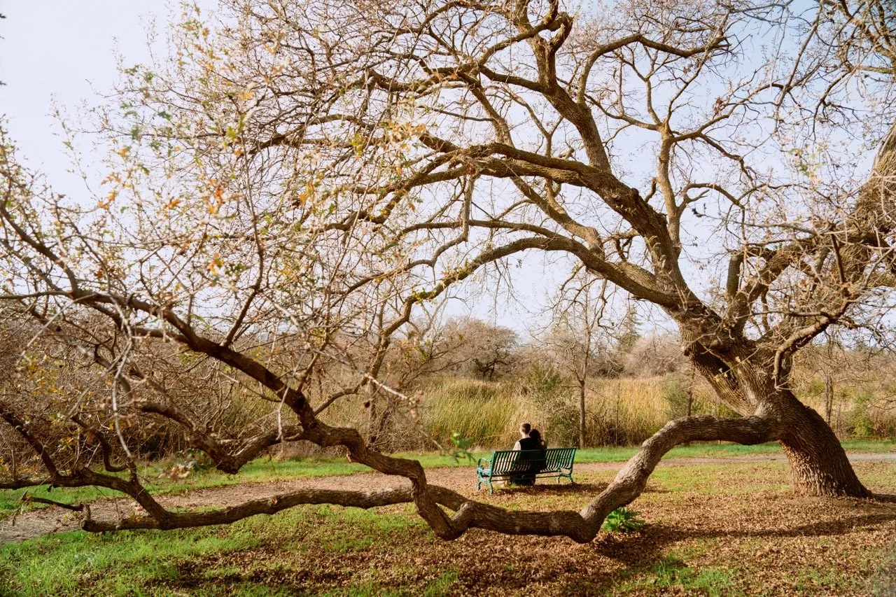 20250104_mursal_and_mathew_nikkah-084 Large.jpeg