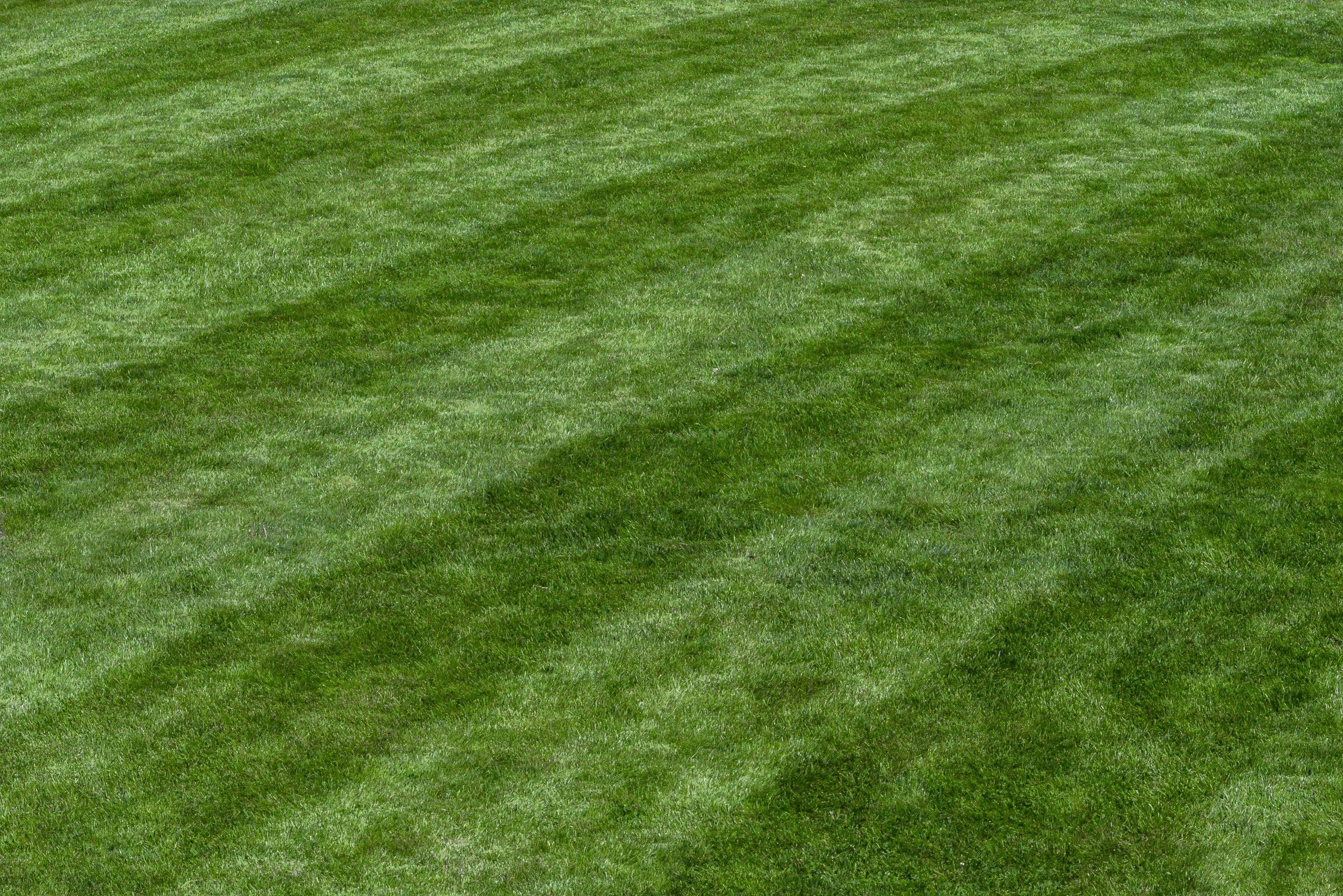 Lush green lawn with stripes