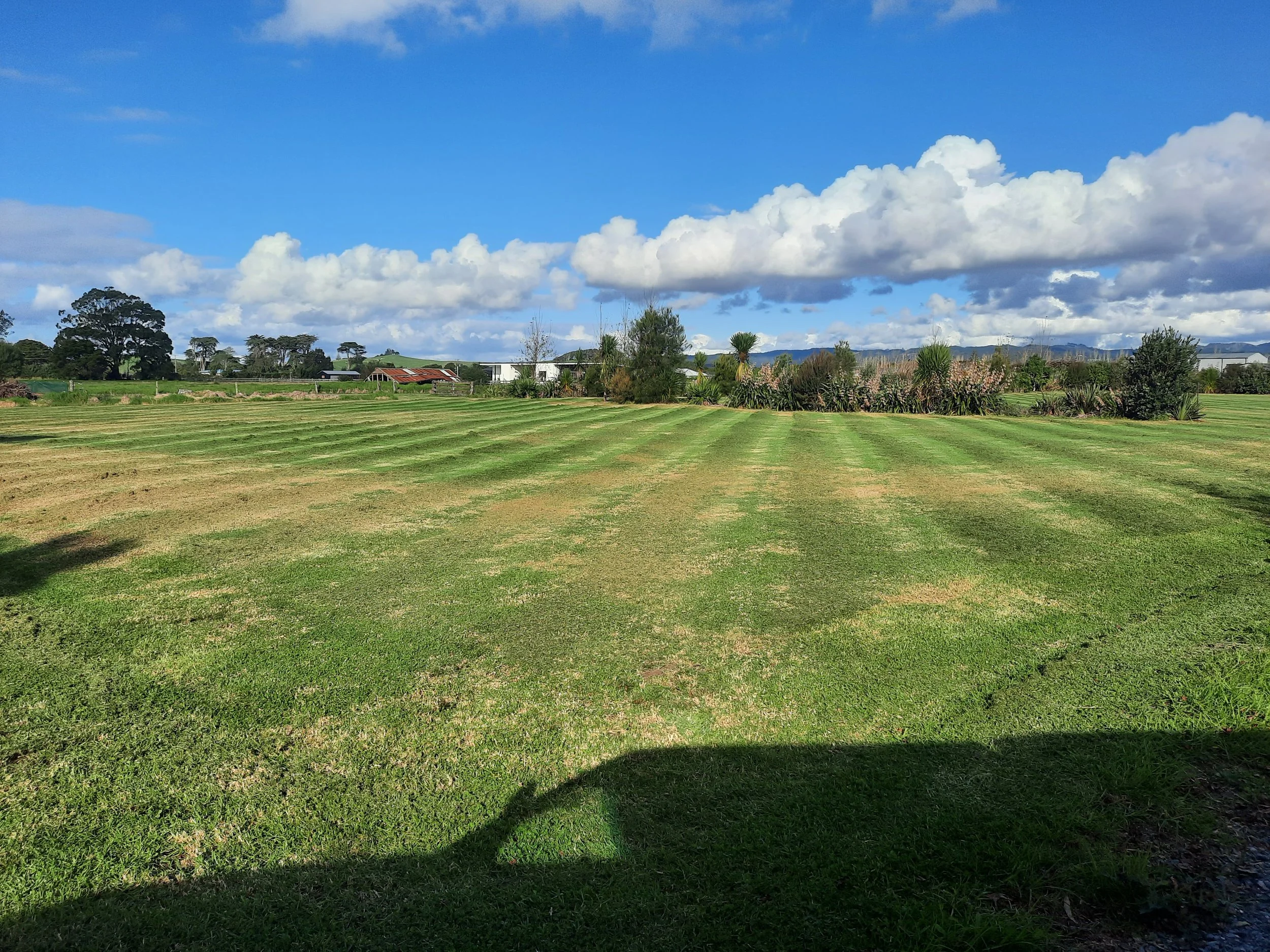 Large mown grassland