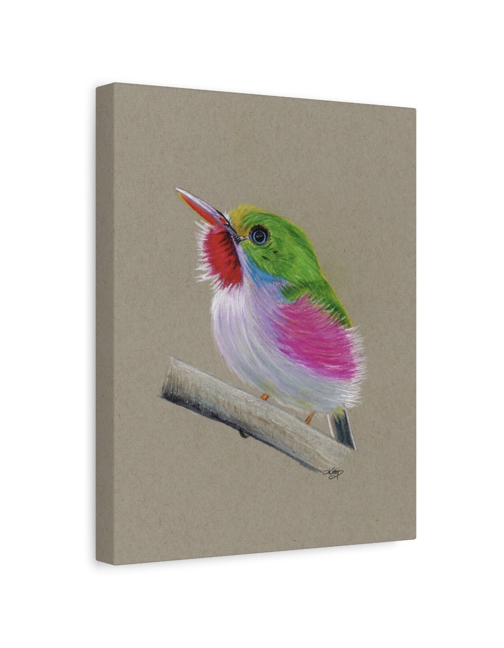 CUBAN TODY - 1.25" Stretched Canvas Art Print Featuring the Vibrant Pink, Green, Red and White Colours of a Cuban Tody Sitting on a Branch. Original Art Done in Colour Pencil.