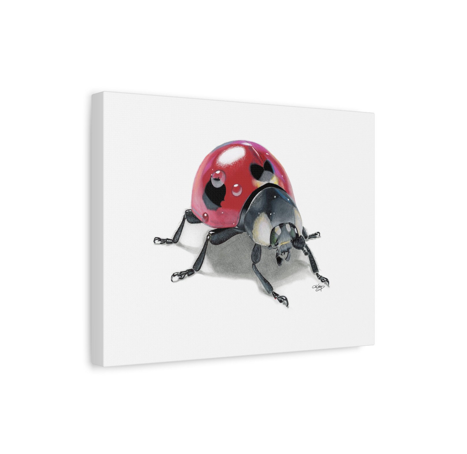 LUCKY LADYBUG - 1.25" Stretched Canvas Fine Art Print of a Colour Pencil Drawing of a Vibrant and Colourful Ladybug. Ladybugs Are a Symbol of Good Luck.