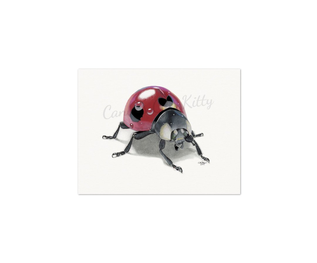Ladybug_MattePrint.jpg