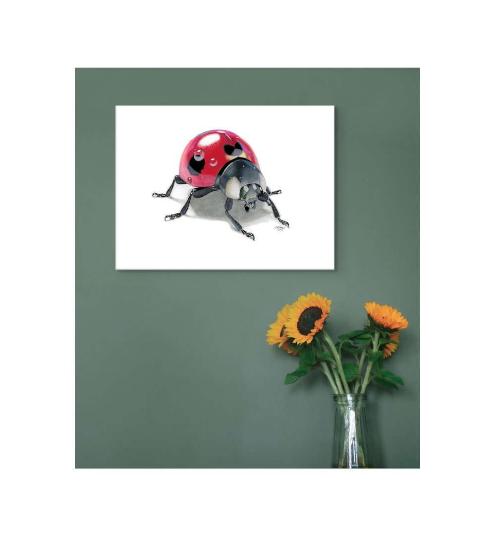 LUCKY LADYBUG - Canvas Fine Art Print of a Colour Pencil Drawing of a Colourful Ladybug. Ladybugs Are Tied to Love, Prosperity and Good Luck.