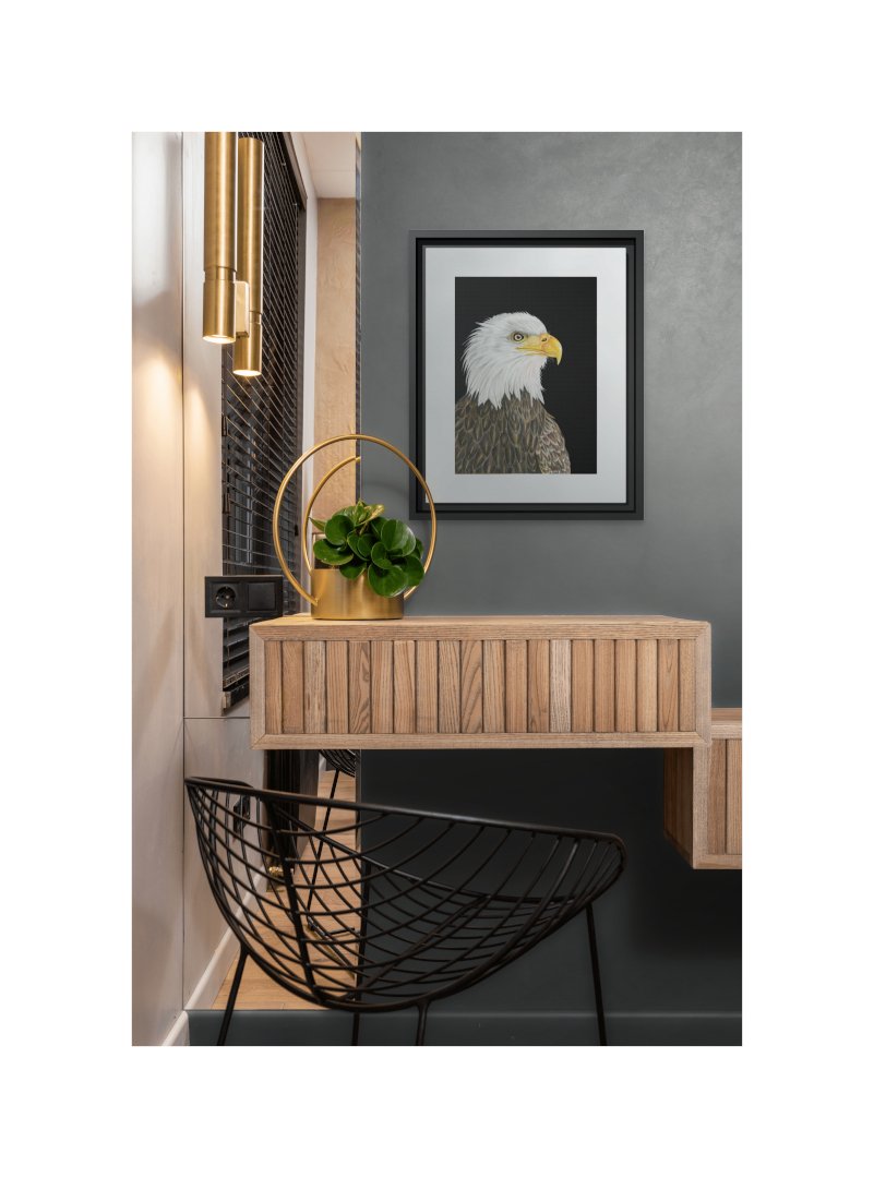 Eagle_Bird Portrait_Framed Canvas Print_Staged.jpg
