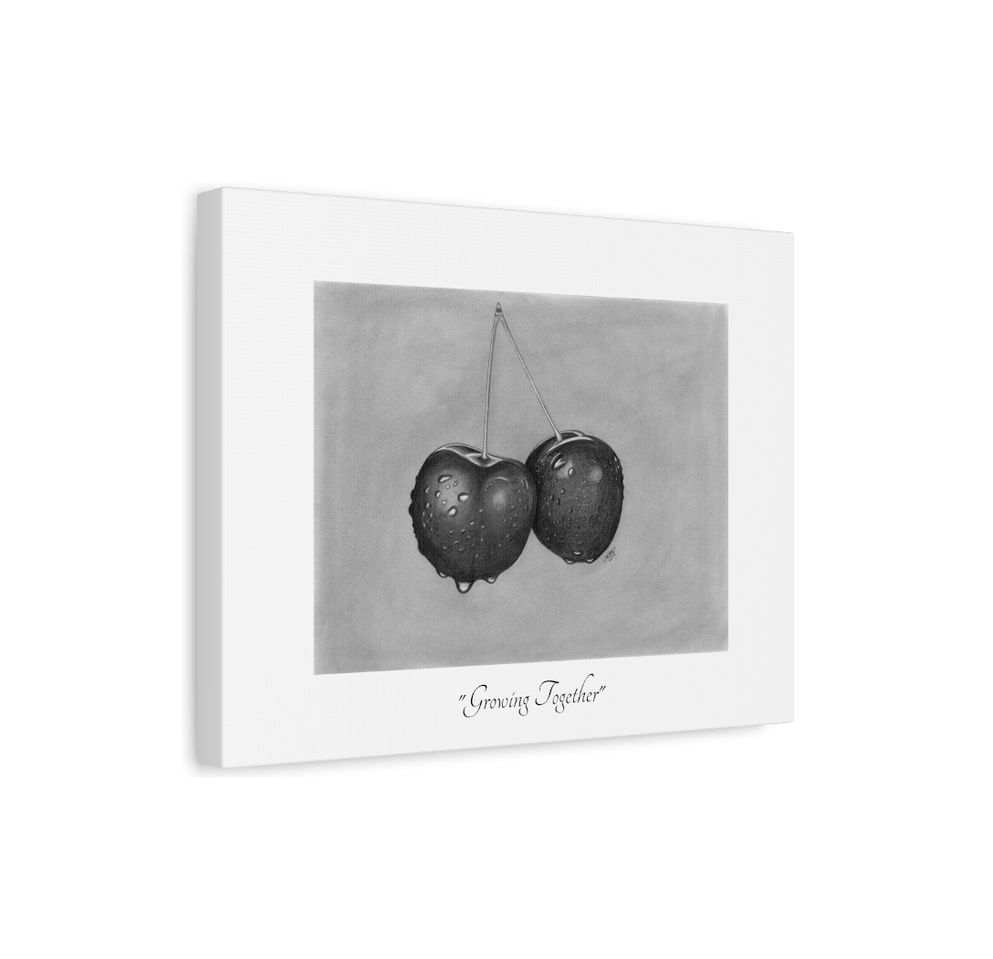 GROWING TOGETHER - 1.25" Stretched Canvas Art Print of a Pencil Drawing of Double Cherries That Are Connected and Growing Together, Yet Each Have Their Own Identity.