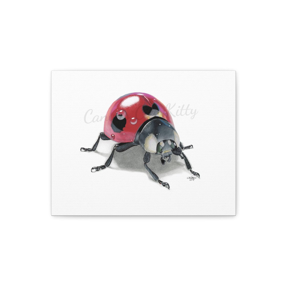 LUCKY LADYBUG - 1.25" Canvas Fine Art Print of a Colourful Ladybug. Around the World, Ladybugs Are Seen as a Positive Influence. Original Art Done in Colour Pencil.