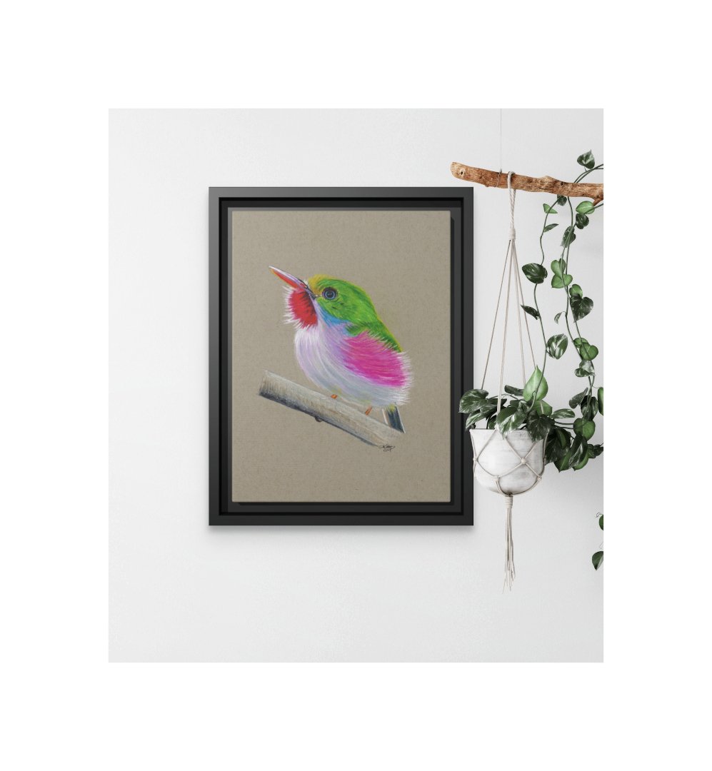 Cuban Tody_Bird Portrait_Framed Canvas Print_Staged.jpg