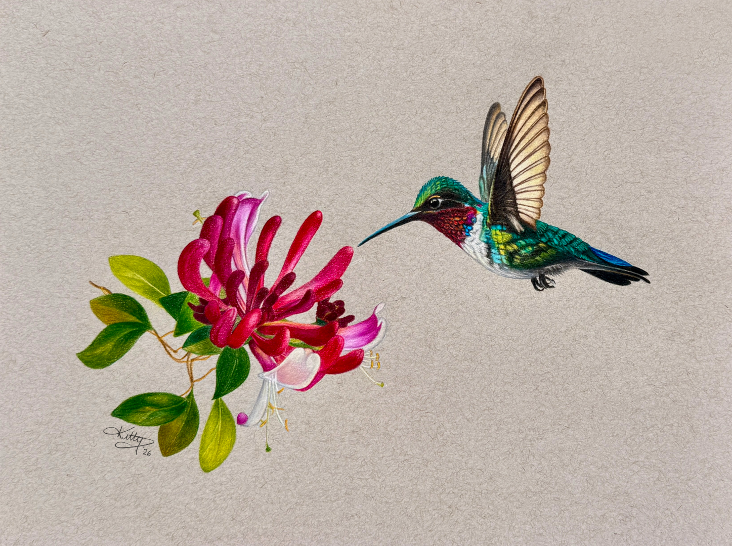 ANIMALS & INSECTS