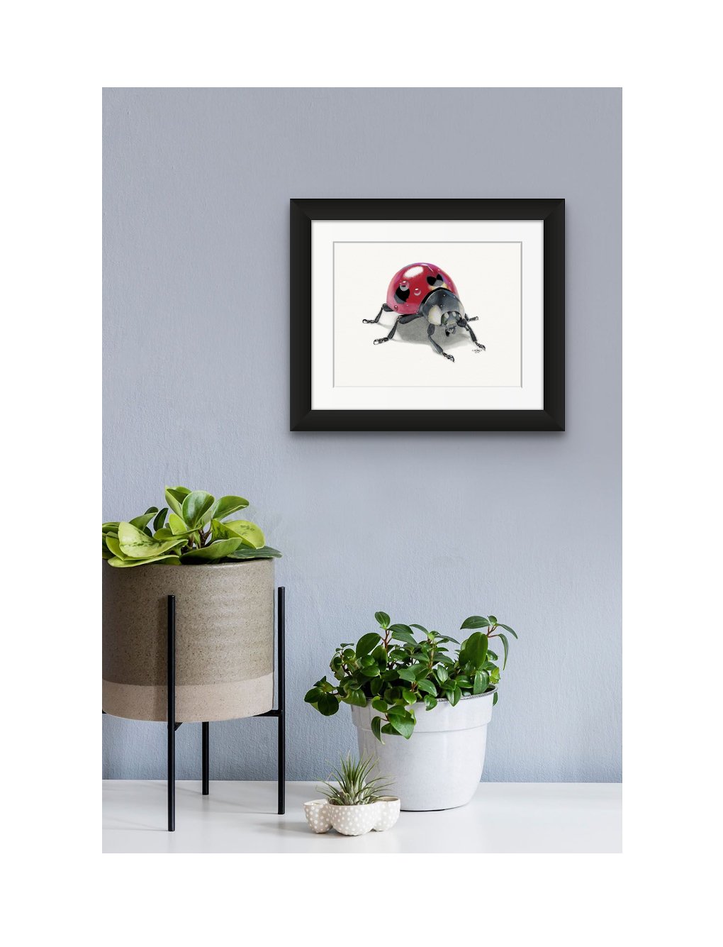 Ladybug_Matte Print_Staged.jpg