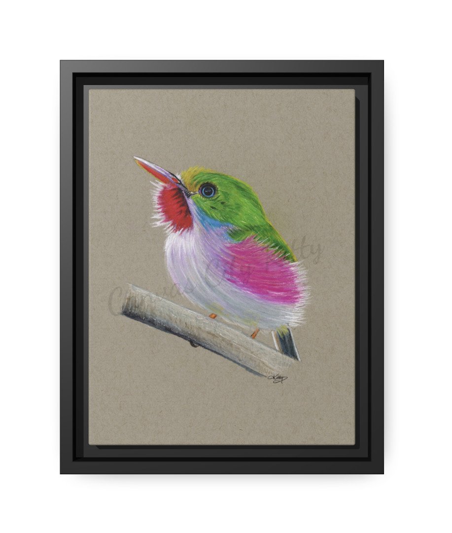 Cuban Tody_Framed Canvas Print.jpg