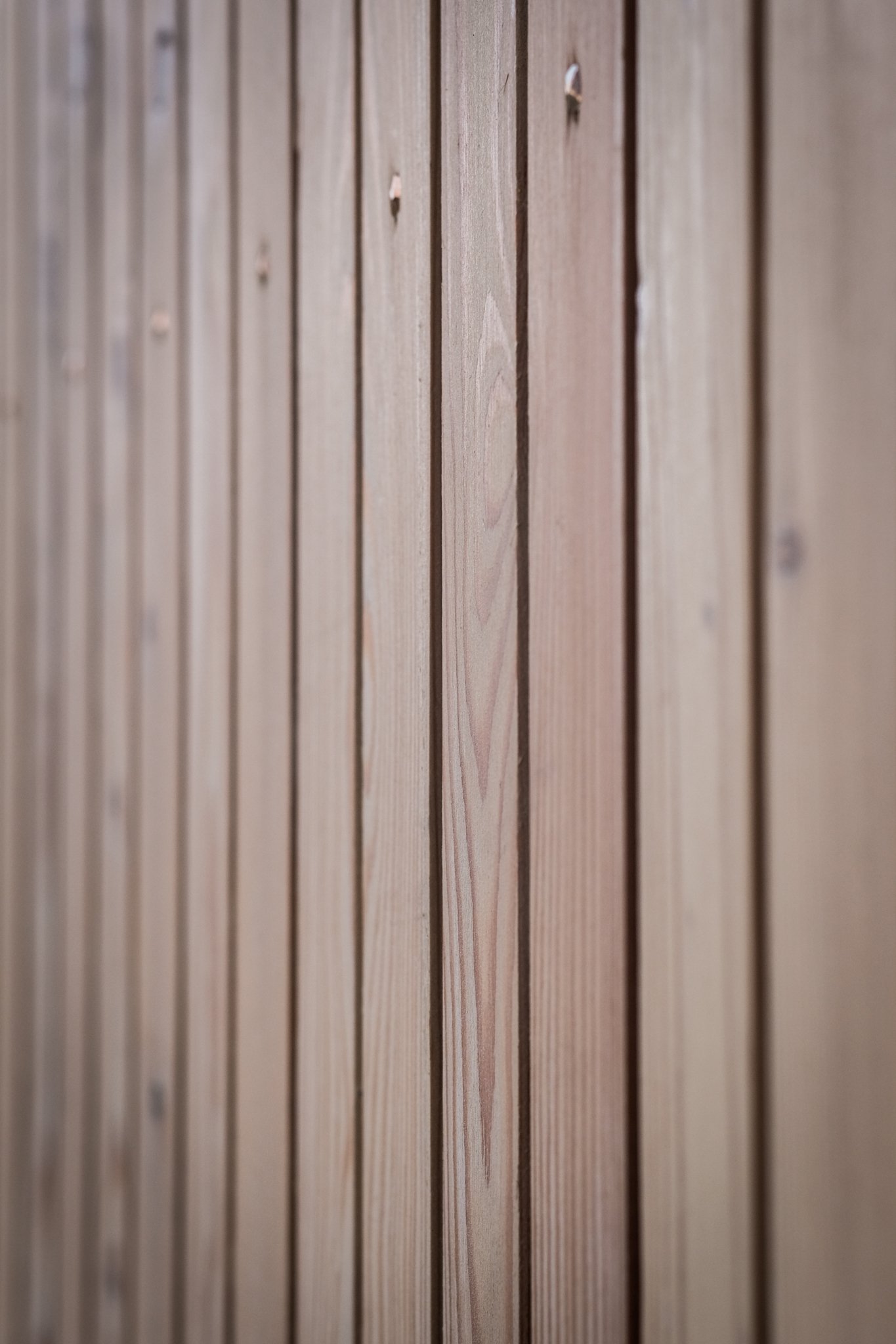 DSCF7336.jpg