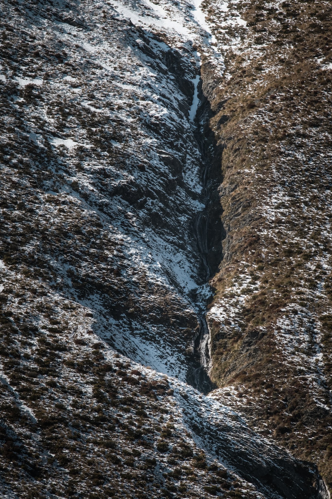 DSCF8127.jpg