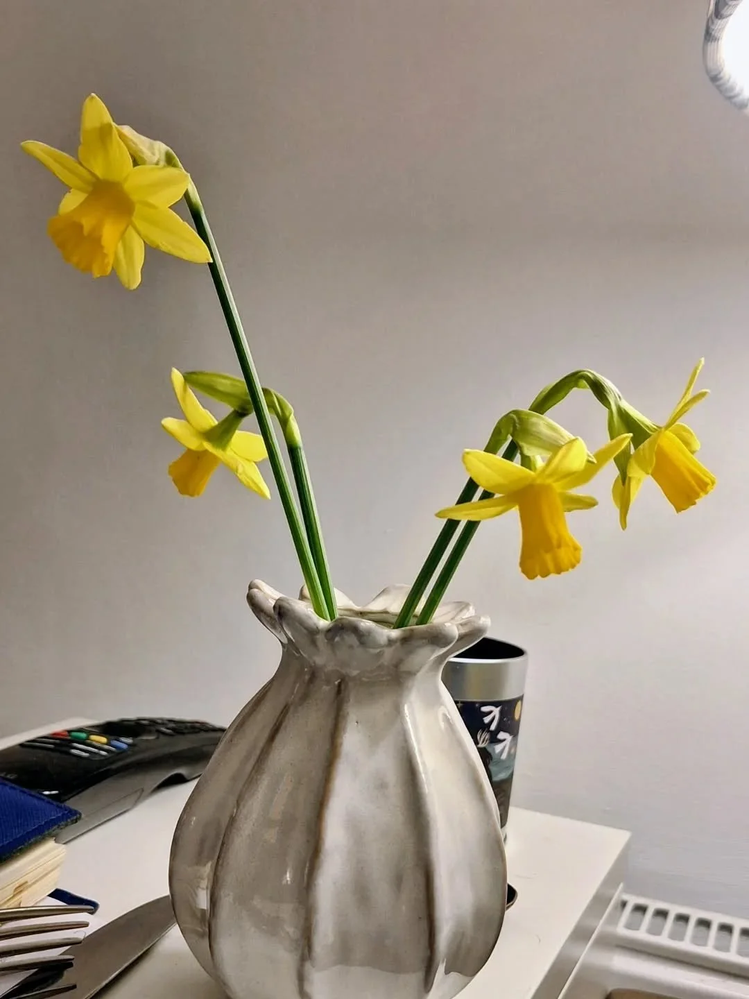 After spending 2 days teaching enamelling at Cober Hill in Scarborough with @north_yorks_art_school and feeling quite envious as the participants are also doing glass fusion with @helengordon_glass and botanical plaques with @joy_impressions and a da