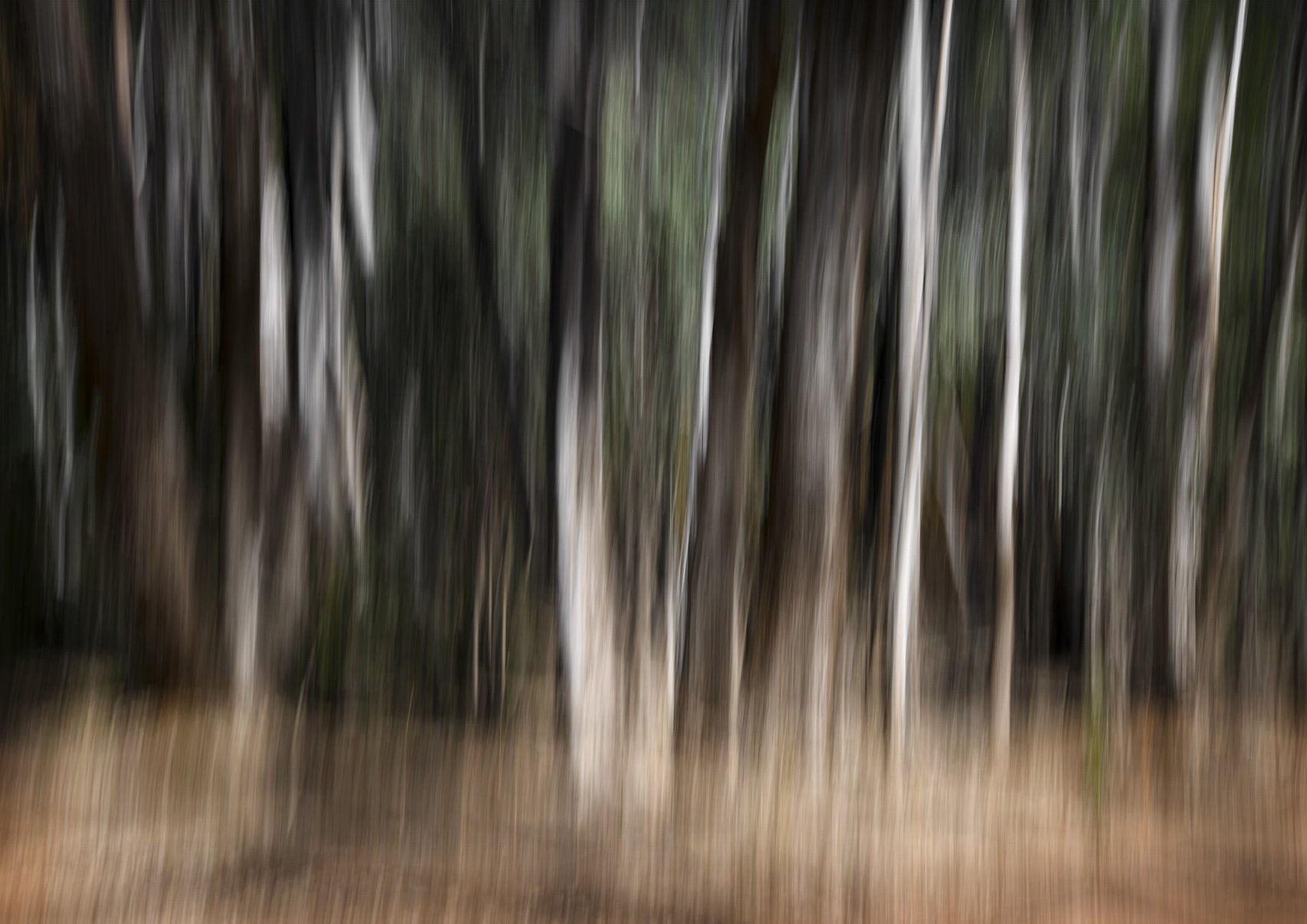 FPS_7907- cropped_small_jpg.jpg