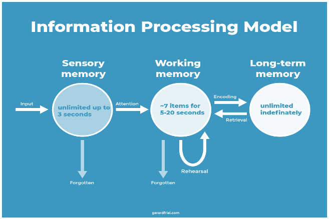 Diagram of an information processing model showing three memory stages: sensory memory with unlimited capacity for up to 3 seconds, working memory with 7 items for 5-20 seconds, and long-term memory with unlimited storage indefinitely. Input enters sensory memory, then attention moves information to working memory where rehearsal occurs. Rehearsed information is encoded for long-term storage, which can be retrieved back to working memory.