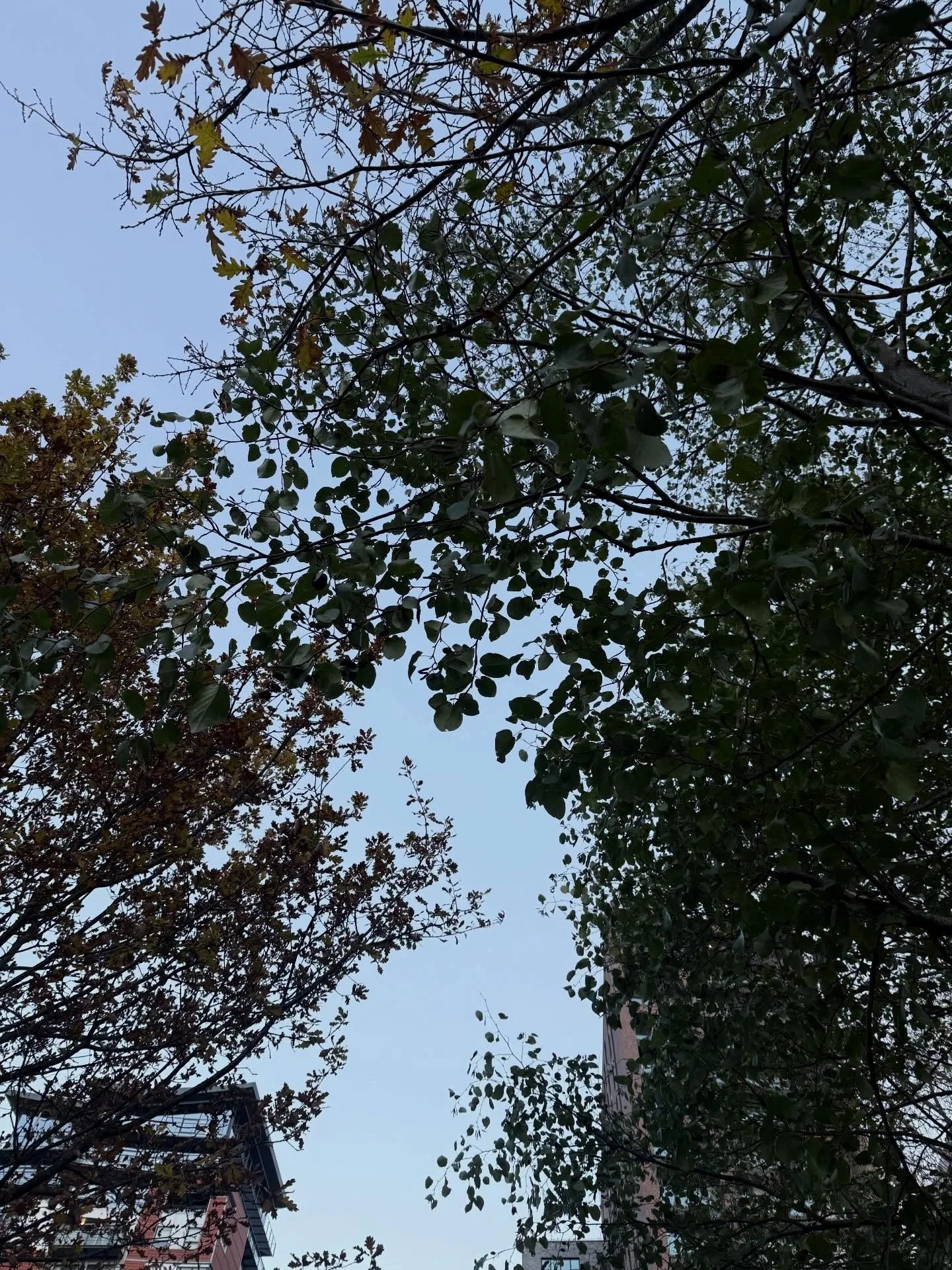 Happy Friday! ❤️ the question I have for you this evening is: 

What&rsquo;s something you have done this week that deserves a little recognition?🫶🏻

I am giving myself a little pat on the back for my consistency in showing up for myself this week.