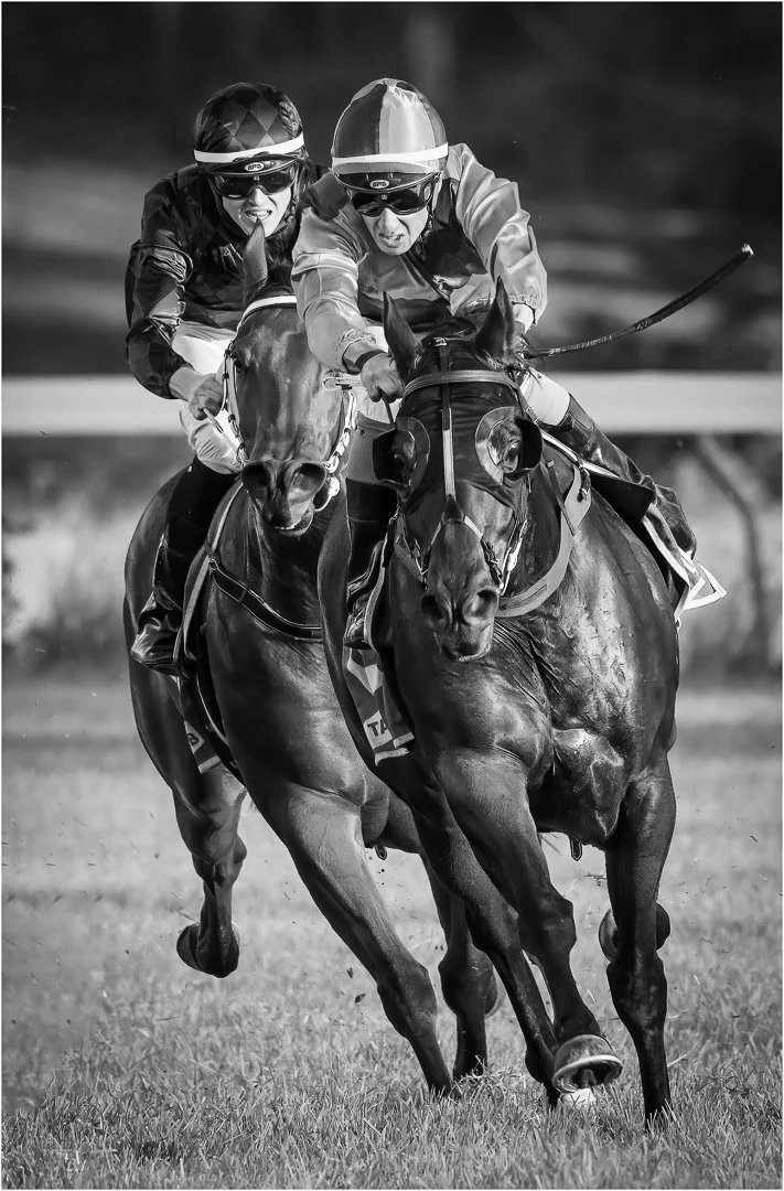 Kilcoy Races