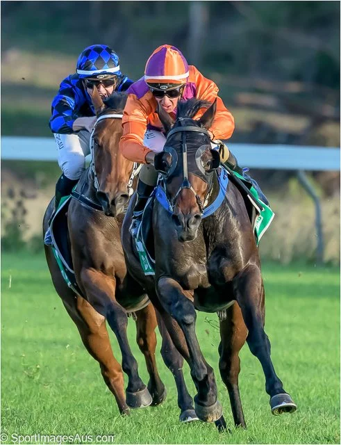 Horse racing 6855-Edit.jpg