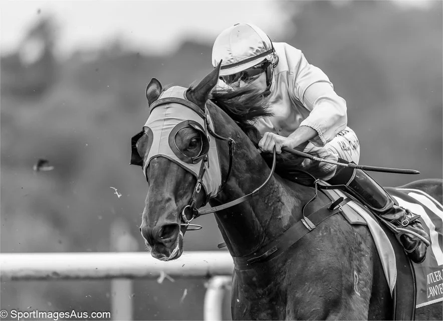 Riding hard 1809.jpg