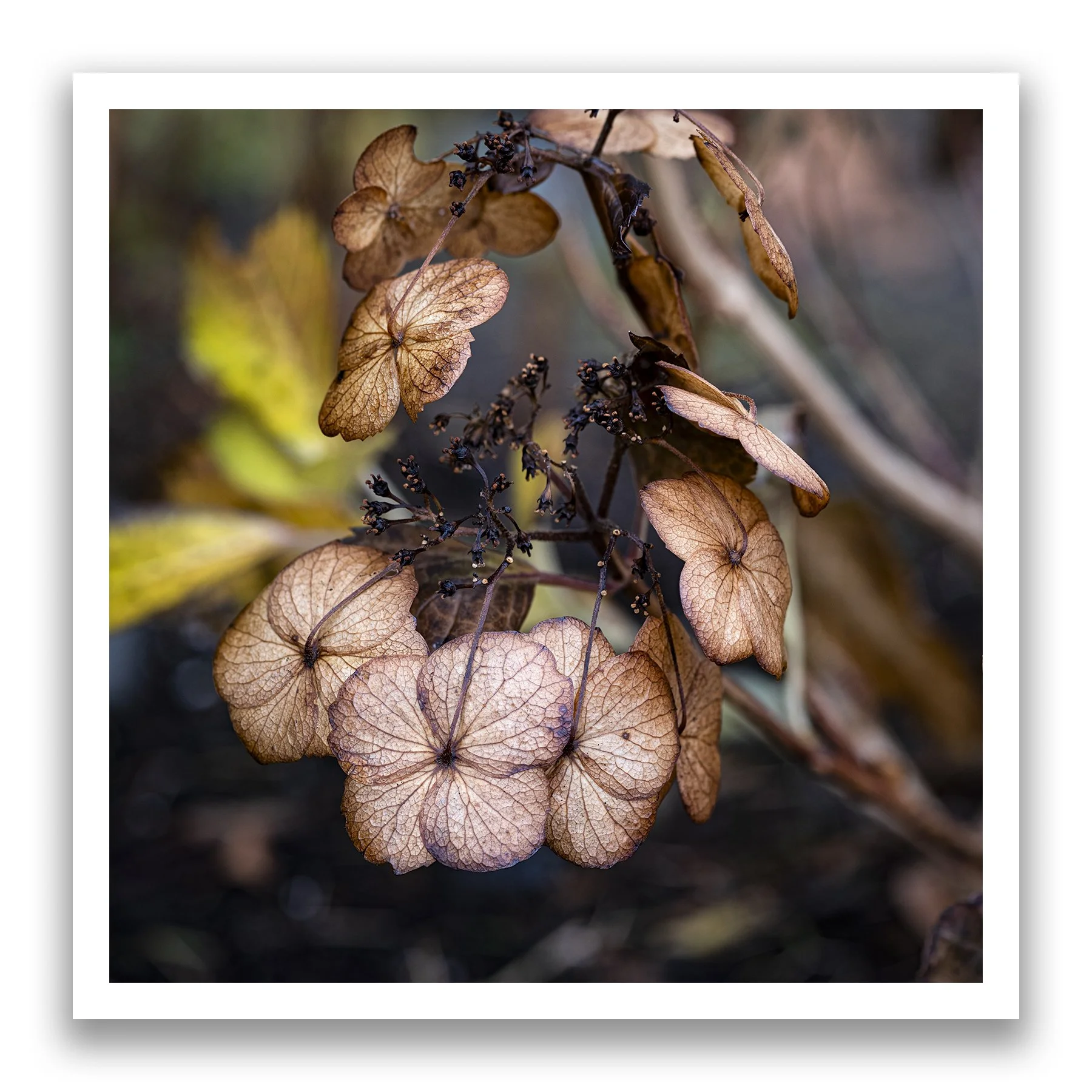 2025-11-08-21.47.59 ZS PMax-Edit-2.jpg