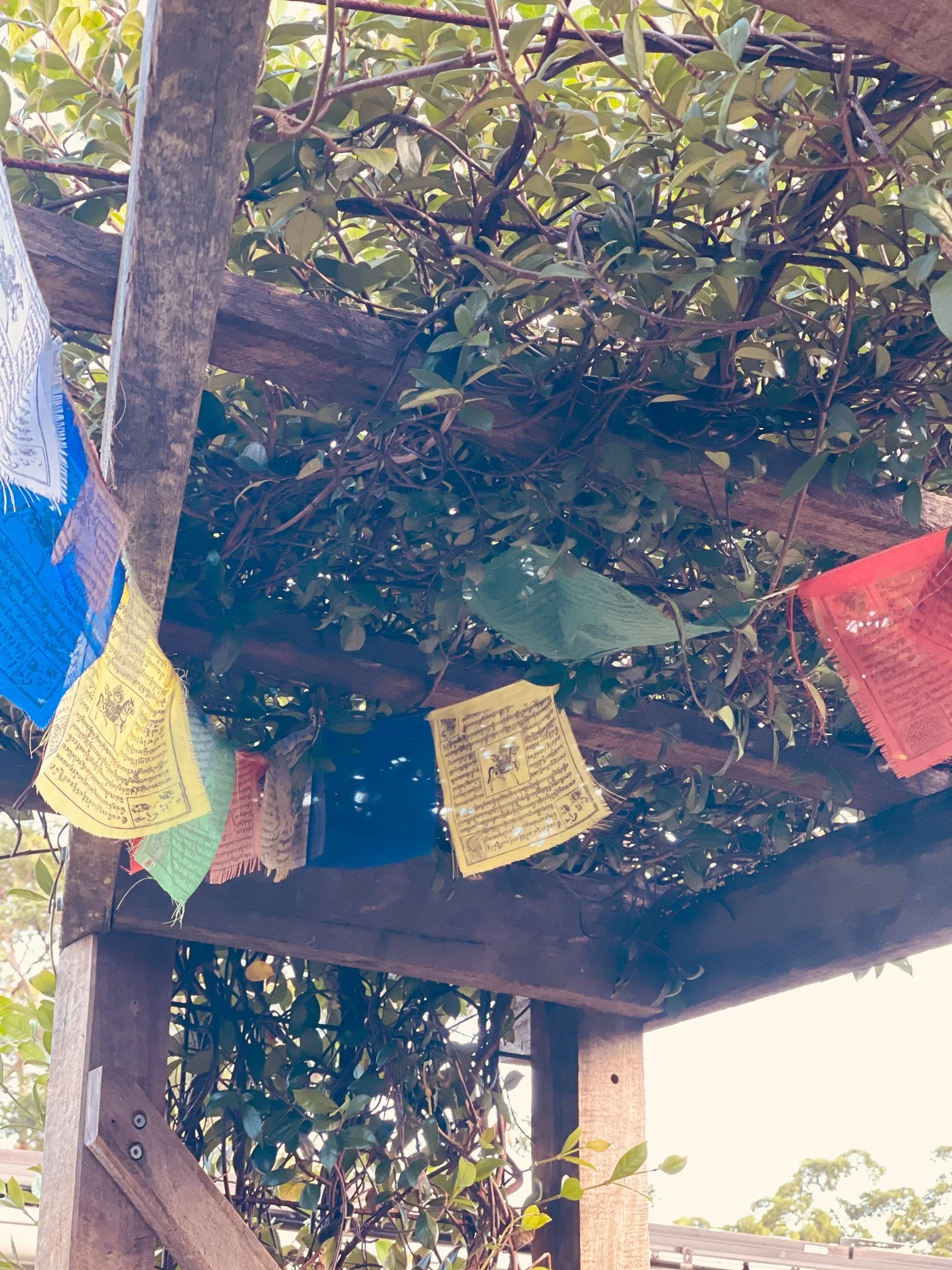 Garden_Prayer_Flags.jpg