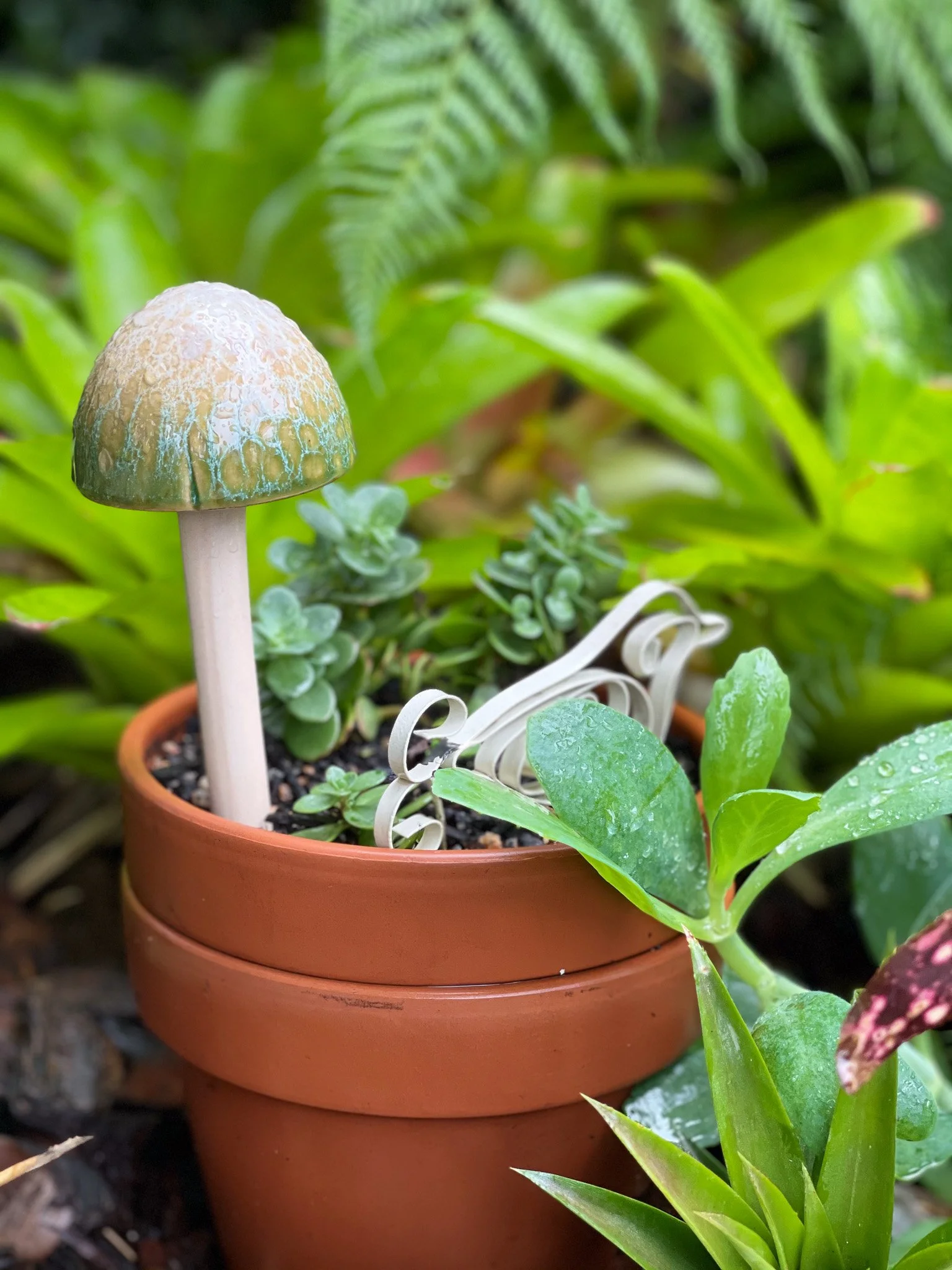 Ceramic mushroom_potplant.jpg