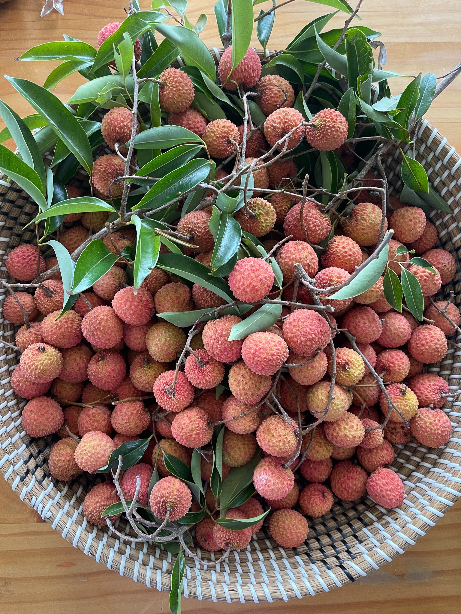 Harvest_Lychees.jpg