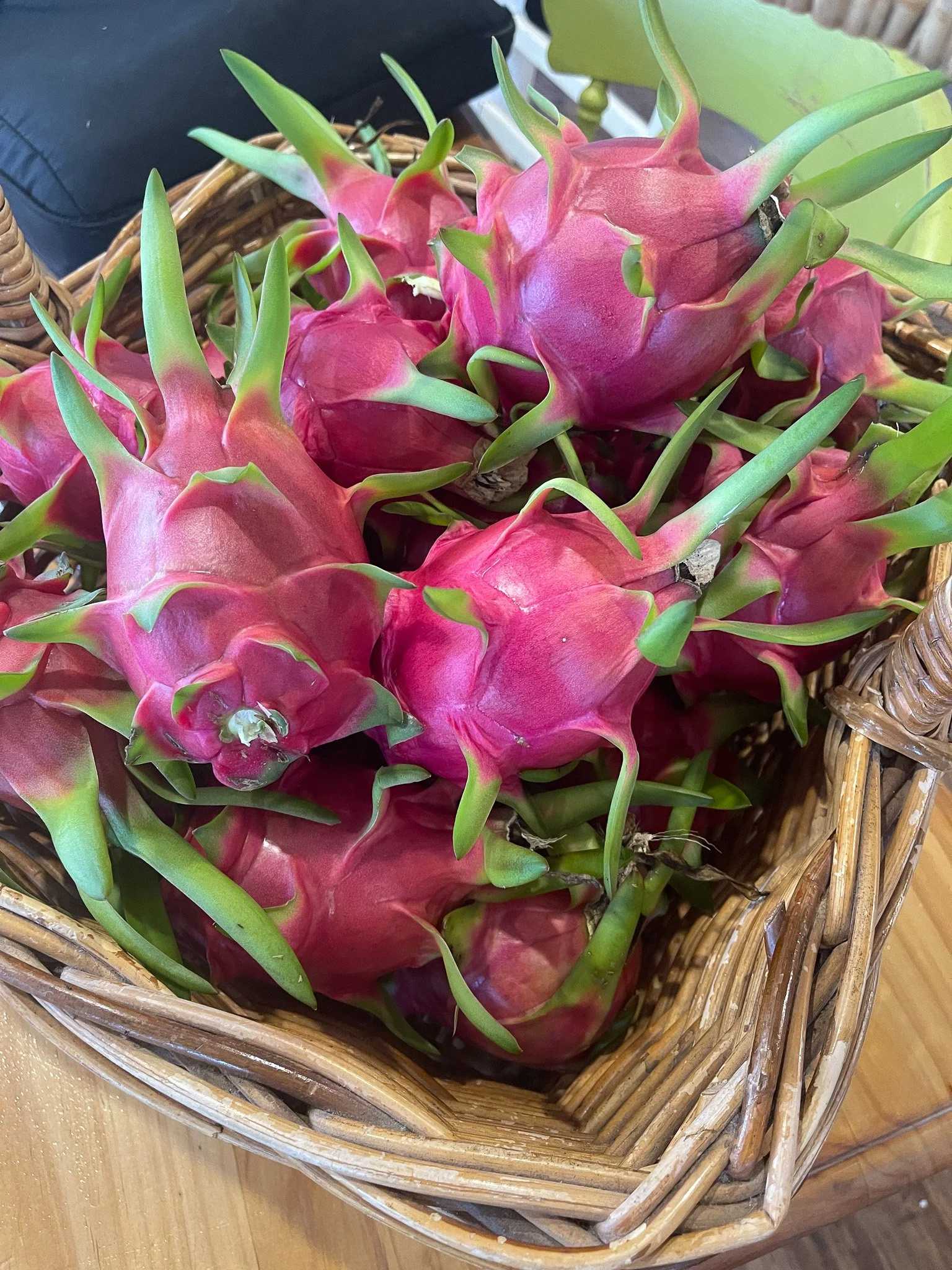 Harvest_Dragonfruit.jpg