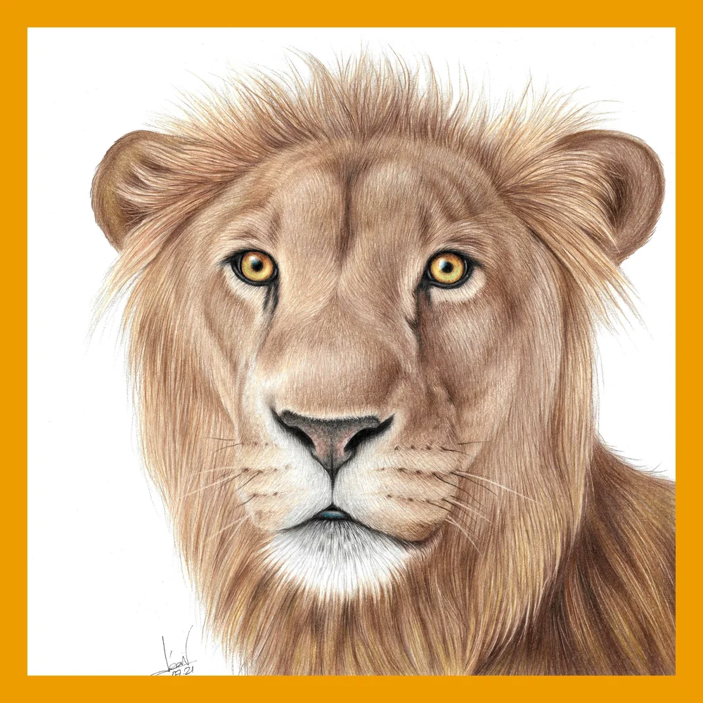 Avenir Ch1437 Point De Croix Lion, Coloré 7 - Version Espagnole