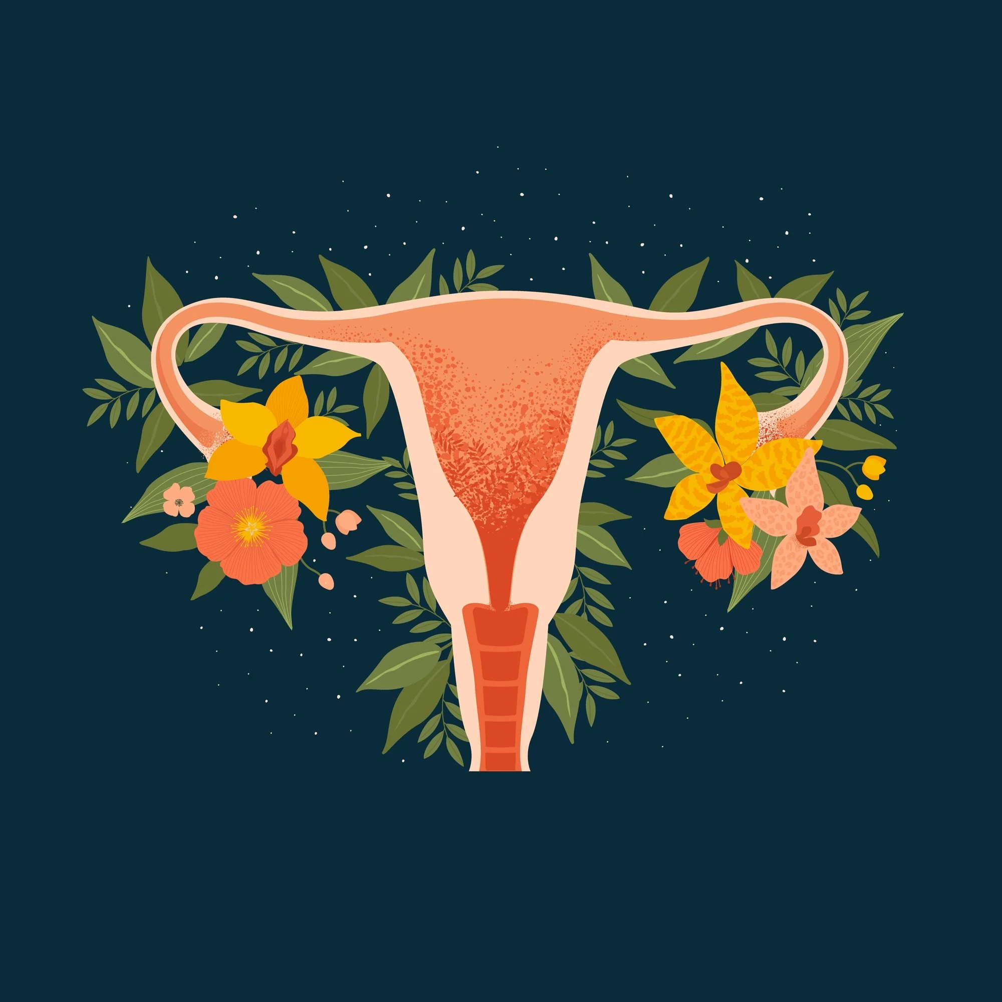 Understanding Pelvic Pain DuringIntercourse: A Pelvic Physiotherapist’sGuide