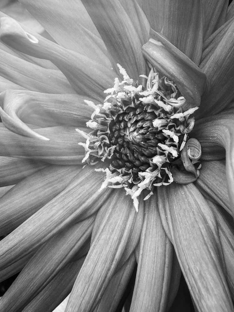 345929BF-7608-4A10-8C1D-6ABE94B0F204_1_105_c.jpeg