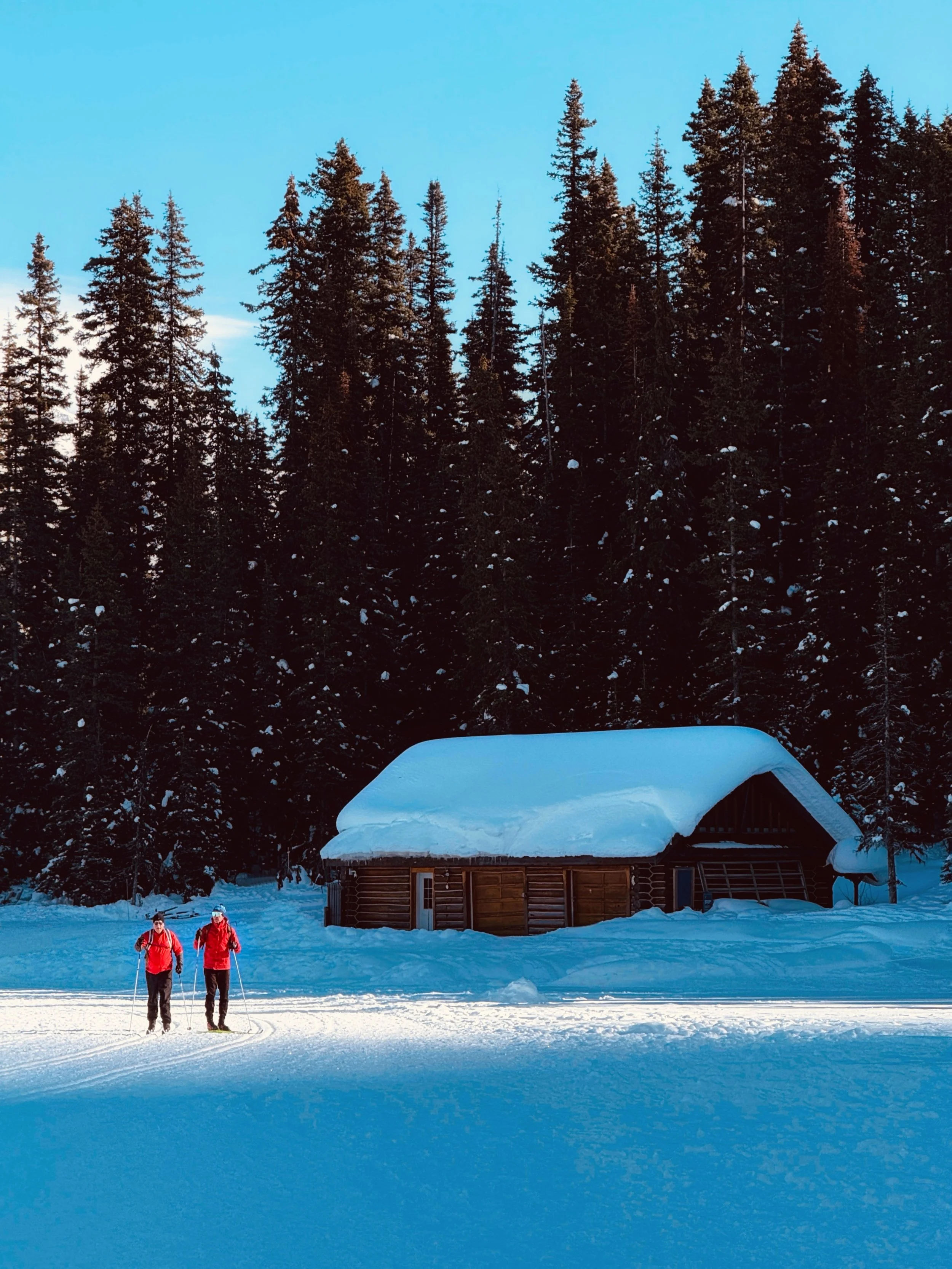 IMG_3386_SnapseedCopy 2.jpg